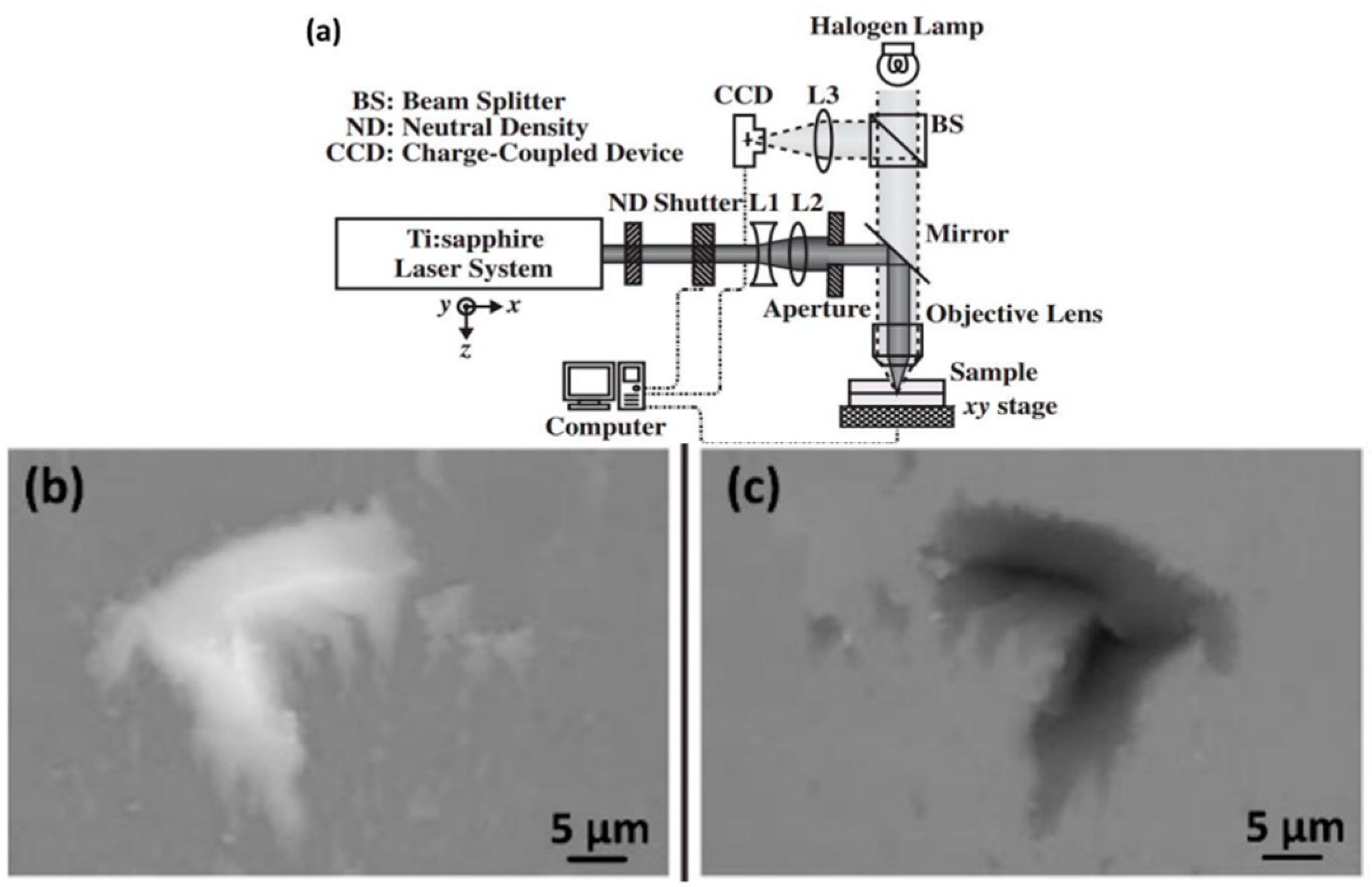 Materials 18 04096 g016 Materials 18 04096 g016