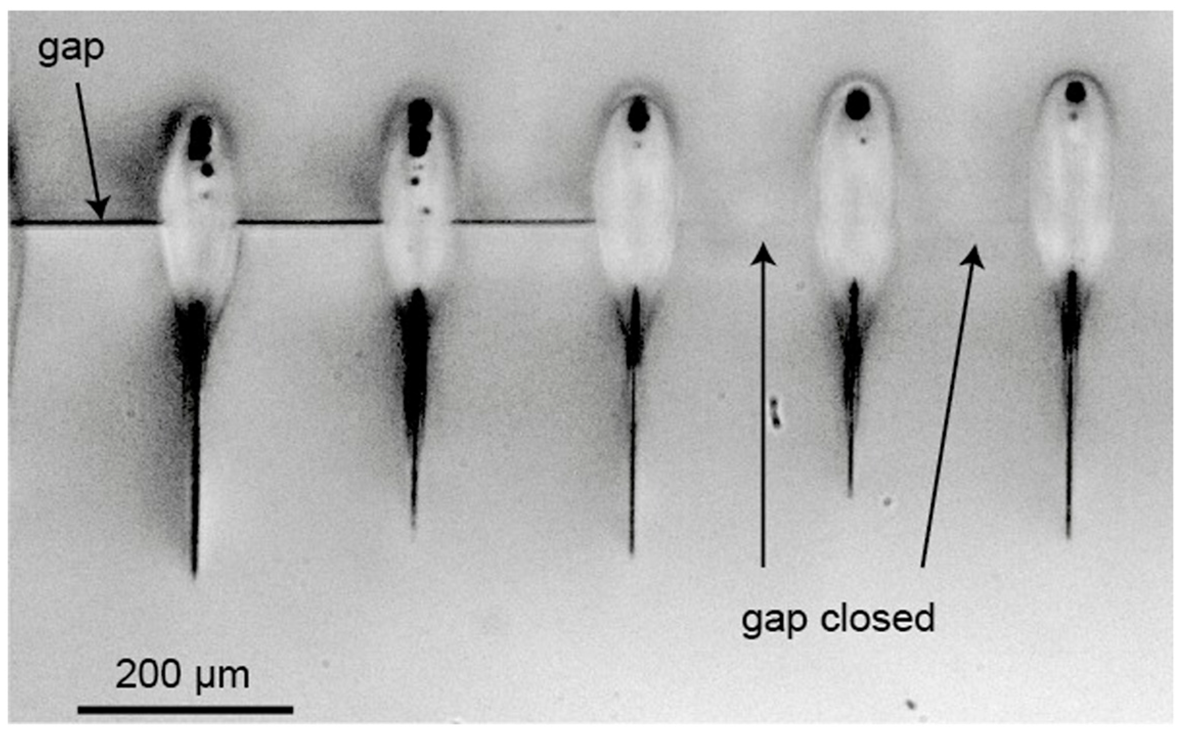 Materials 18 04096 g022 Materials 18 04096 g022