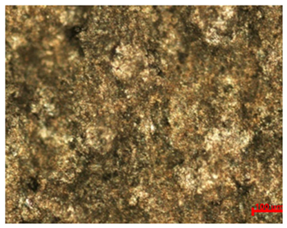 Materials 18 04098 i024