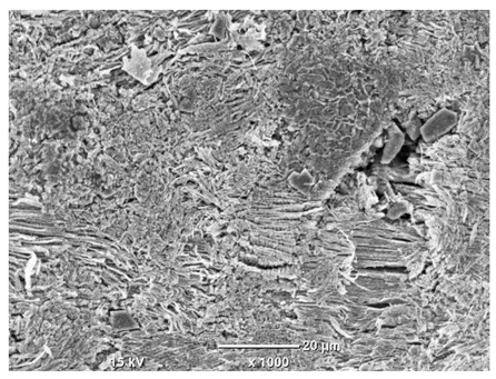 Materials 18 04098 i041