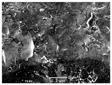 Materials 18 04098 i043