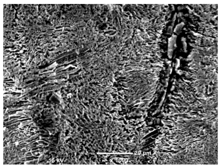 Materials 18 04098 i044