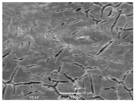 Materials 18 04098 i047