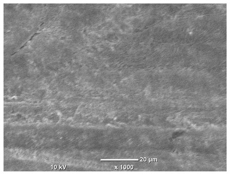 Materials 18 04098 i048