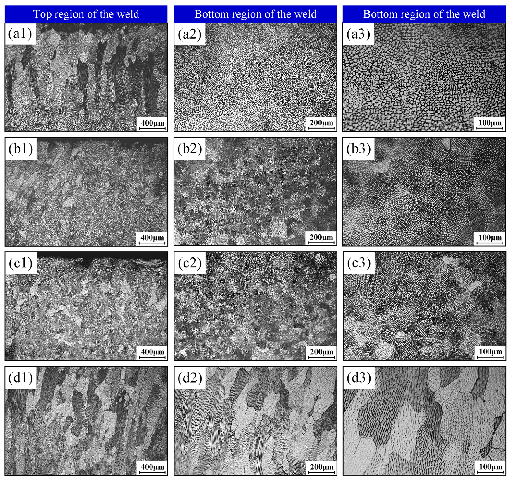 Materials 18 04099 g015 Materials 18 04099 g015
