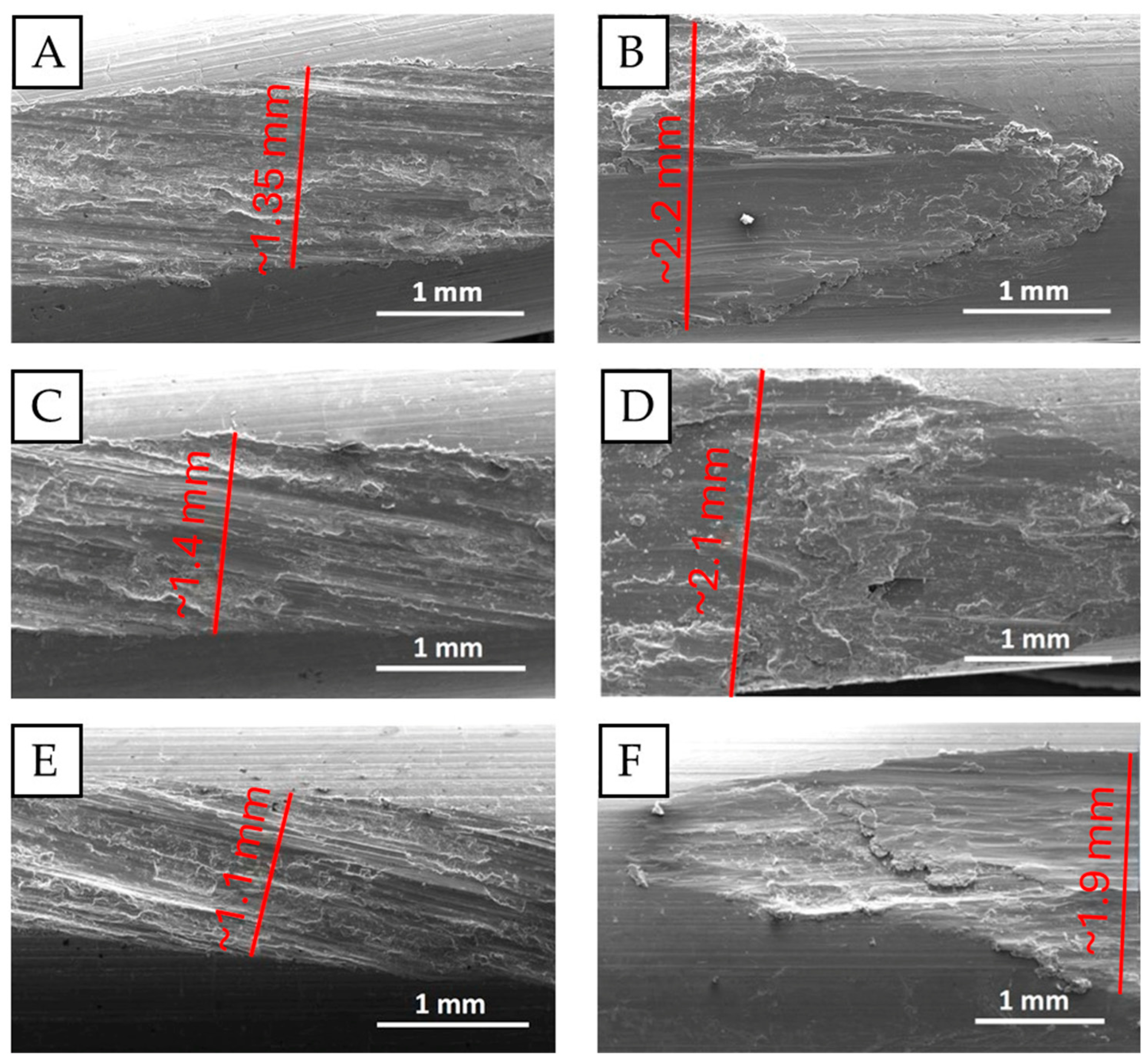 Materials 18 04103 g010