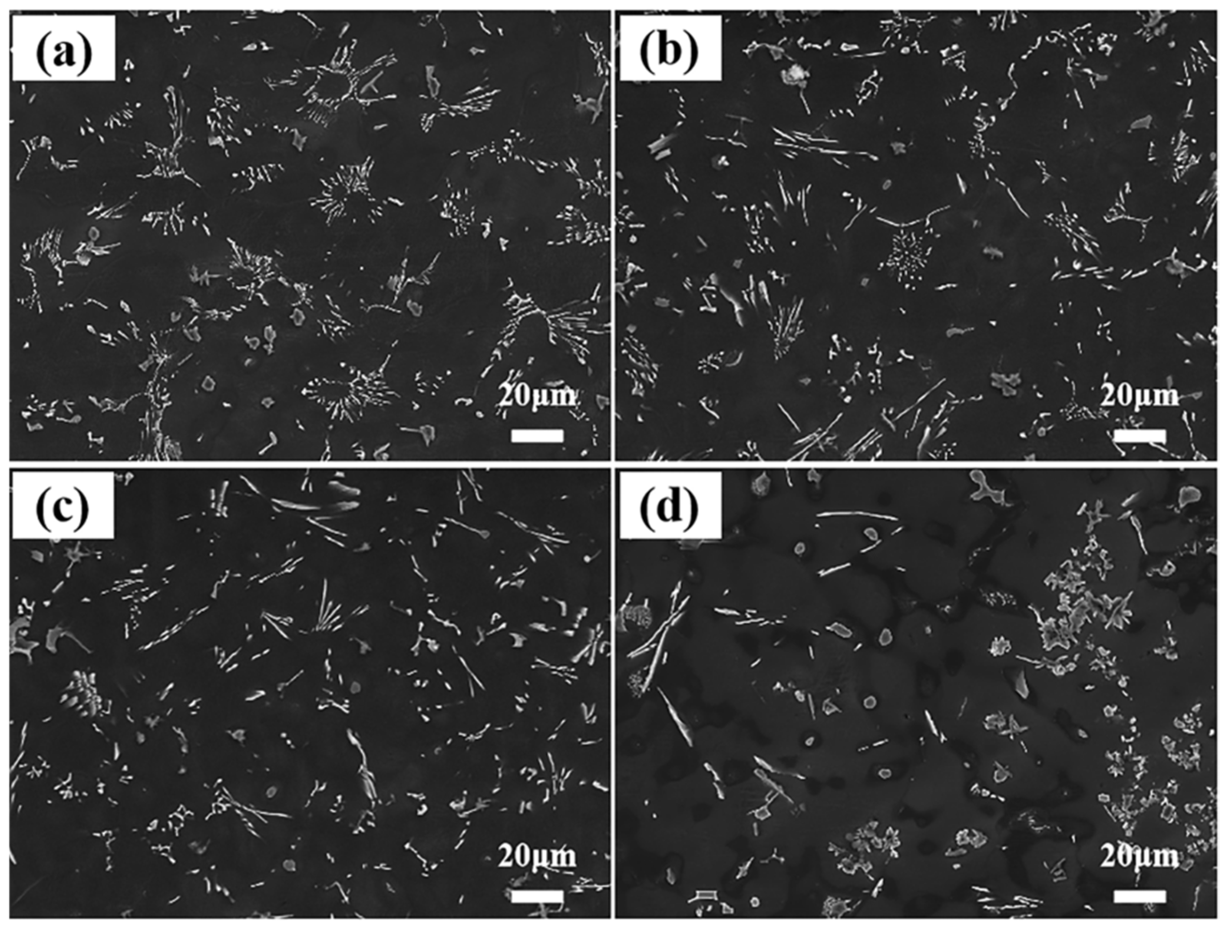 Materials 18 04104 g004 Materials 18 04104 g004