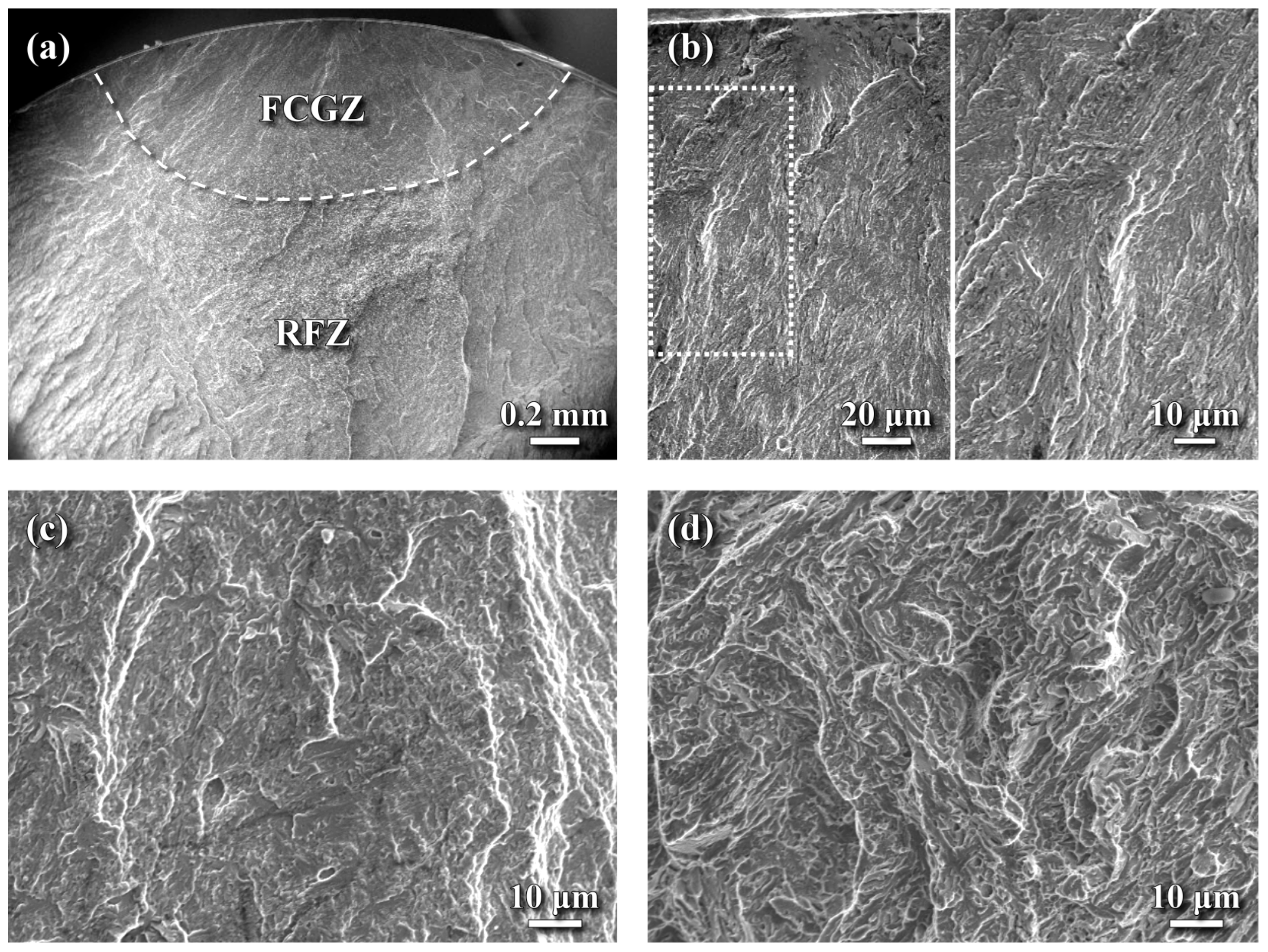 Materials 18 04121 g010