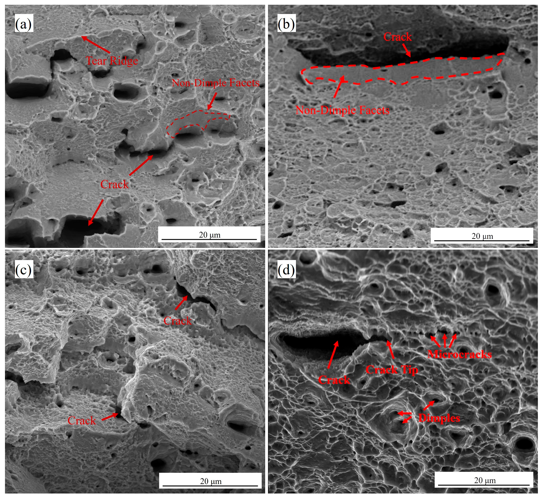 Materials 18 04139 g008 Materials 18 04139 g008
