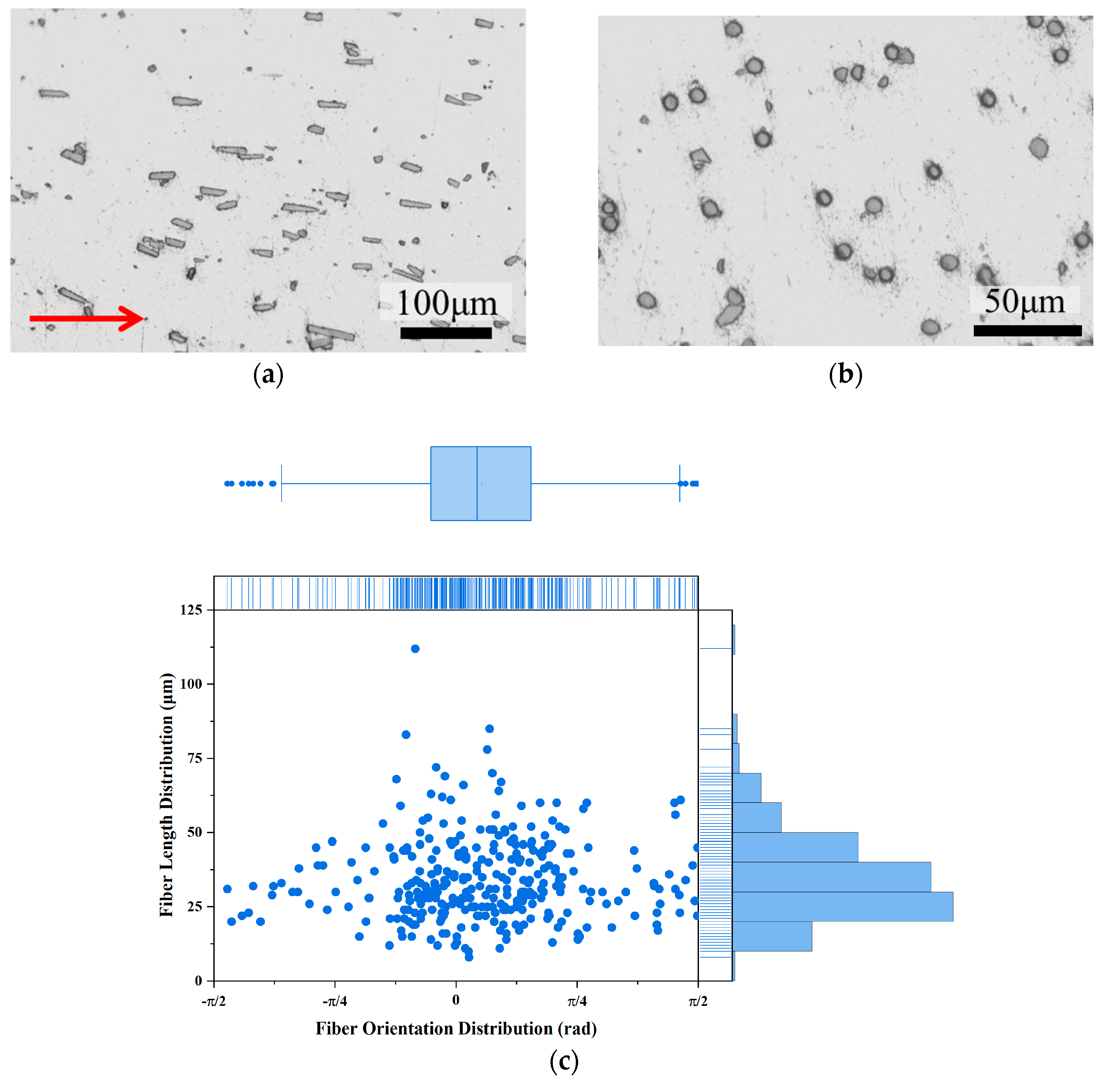 Materials 18 04143 g006 Materials 18 04143 g006