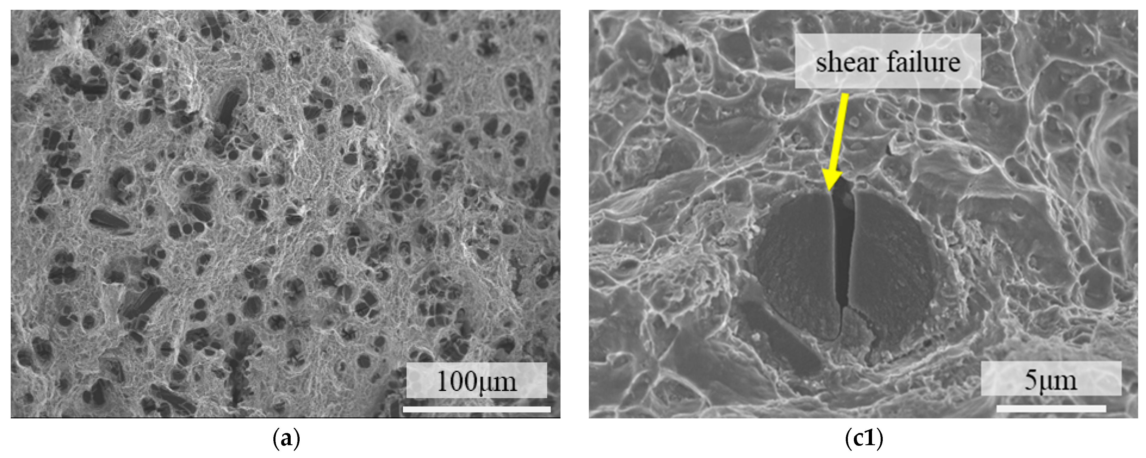 Materials 18 04143 g008a Materials 18 04143 g008a