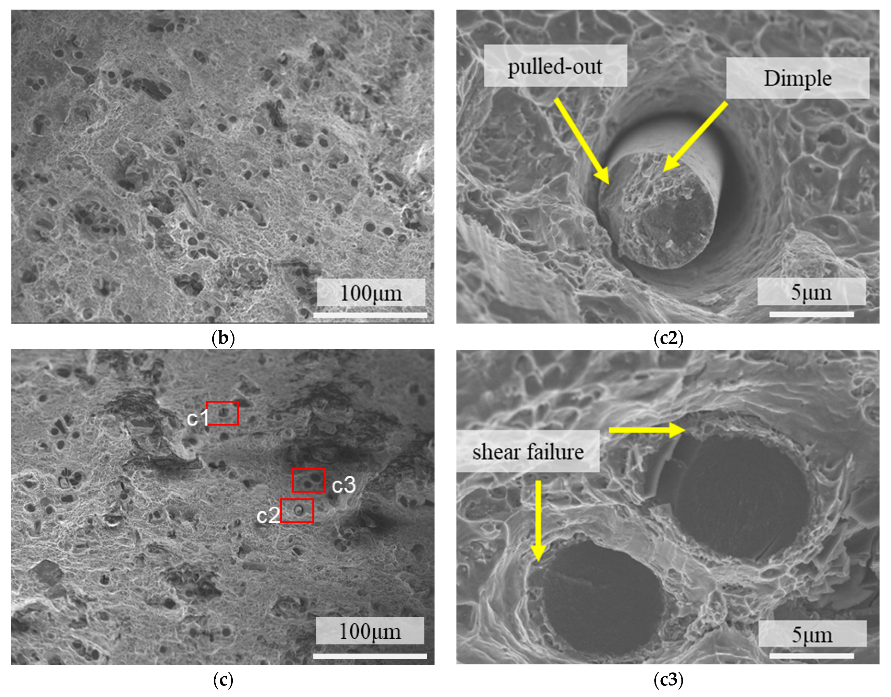 Materials 18 04143 g008b Materials 18 04143 g008b