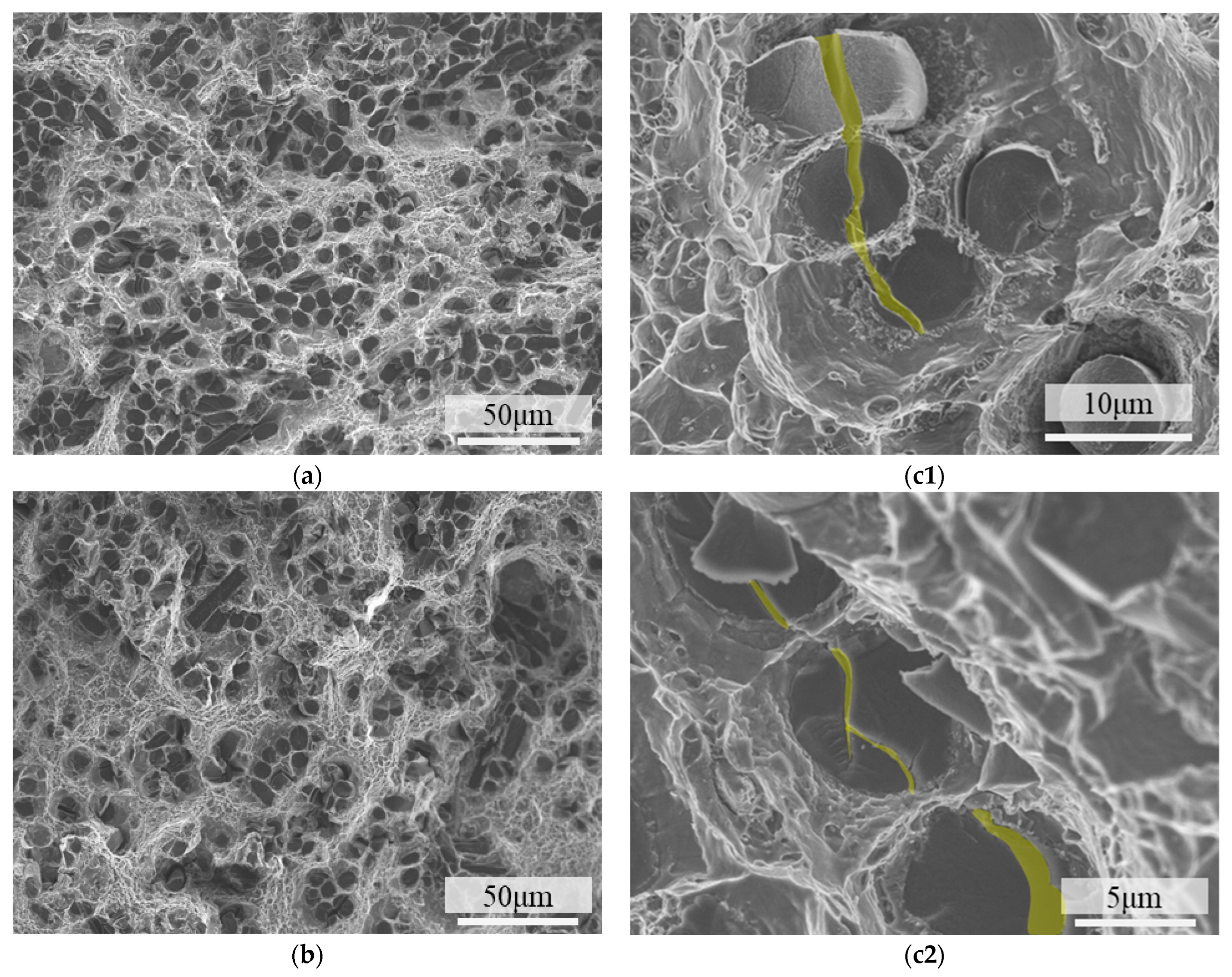 Materials 18 04143 g010a Materials 18 04143 g010a