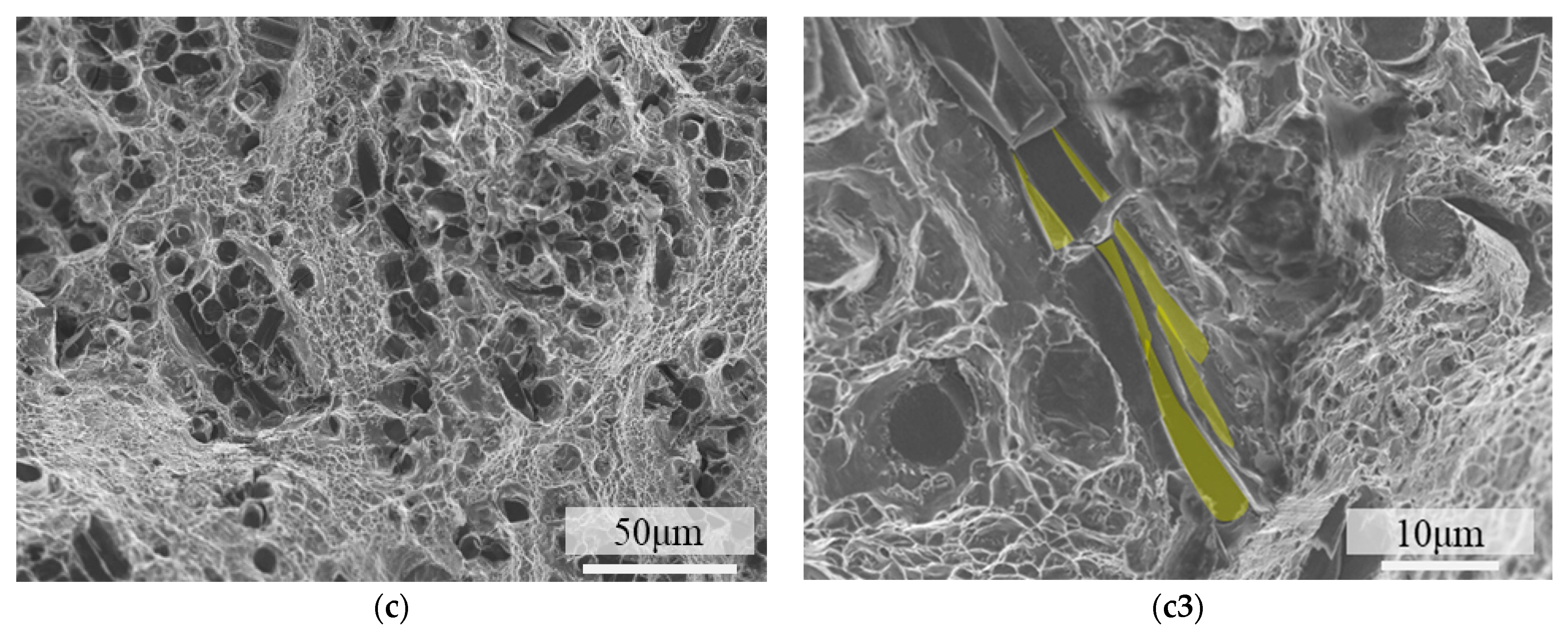 Materials 18 04143 g010b Materials 18 04143 g010b