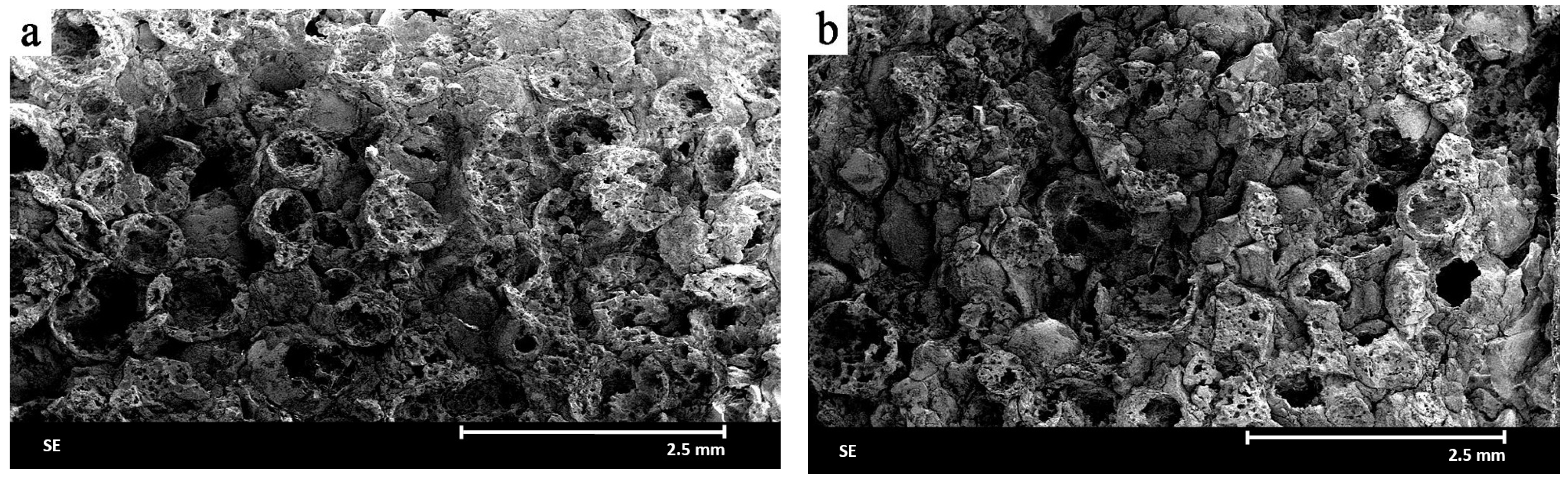 Materials 18 04144 g003