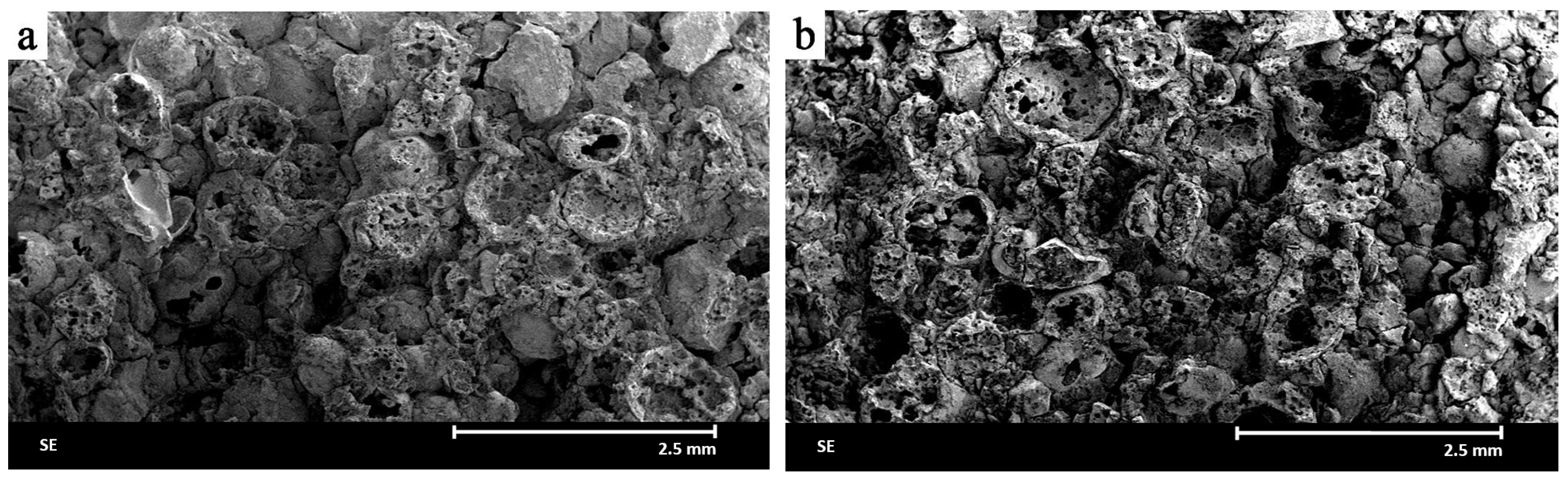 Materials 18 04144 g004