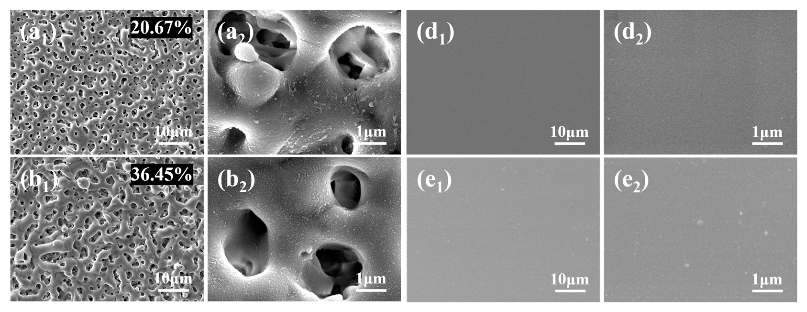 Materials 18 04146 g004a Materials 18 04146 g004a