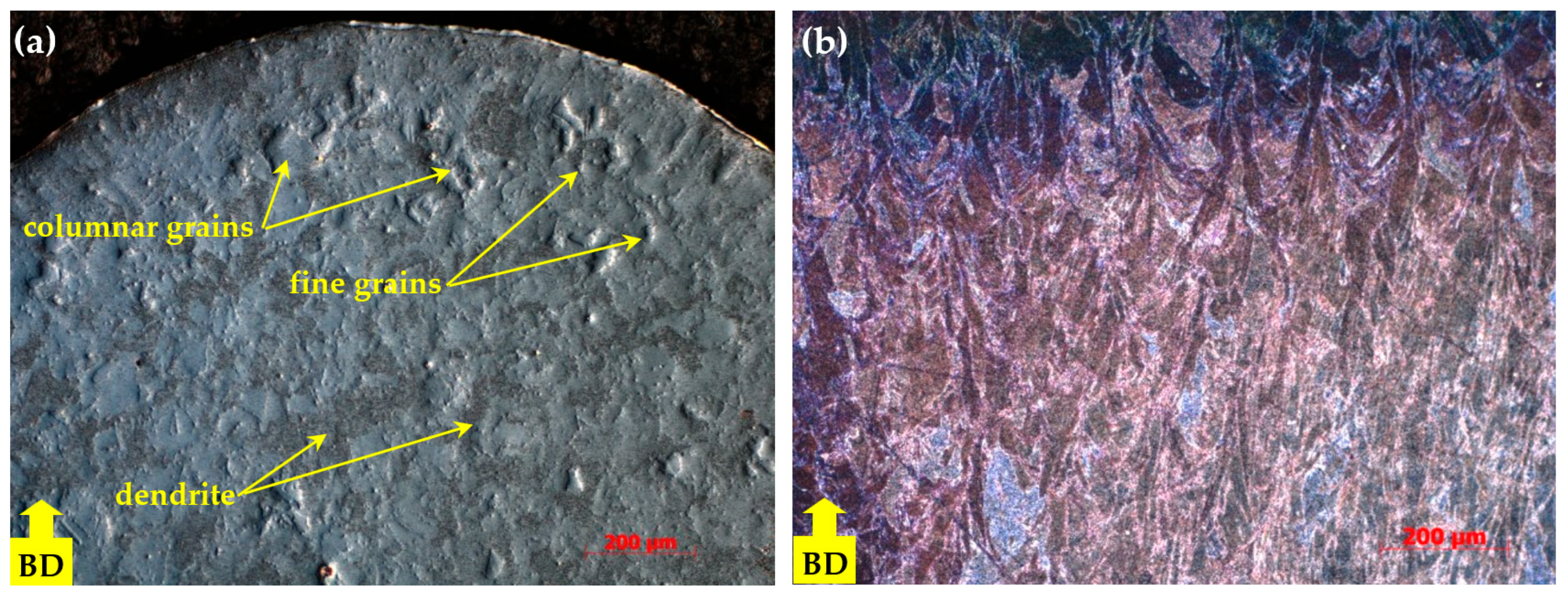 Materials 18 04149 g007