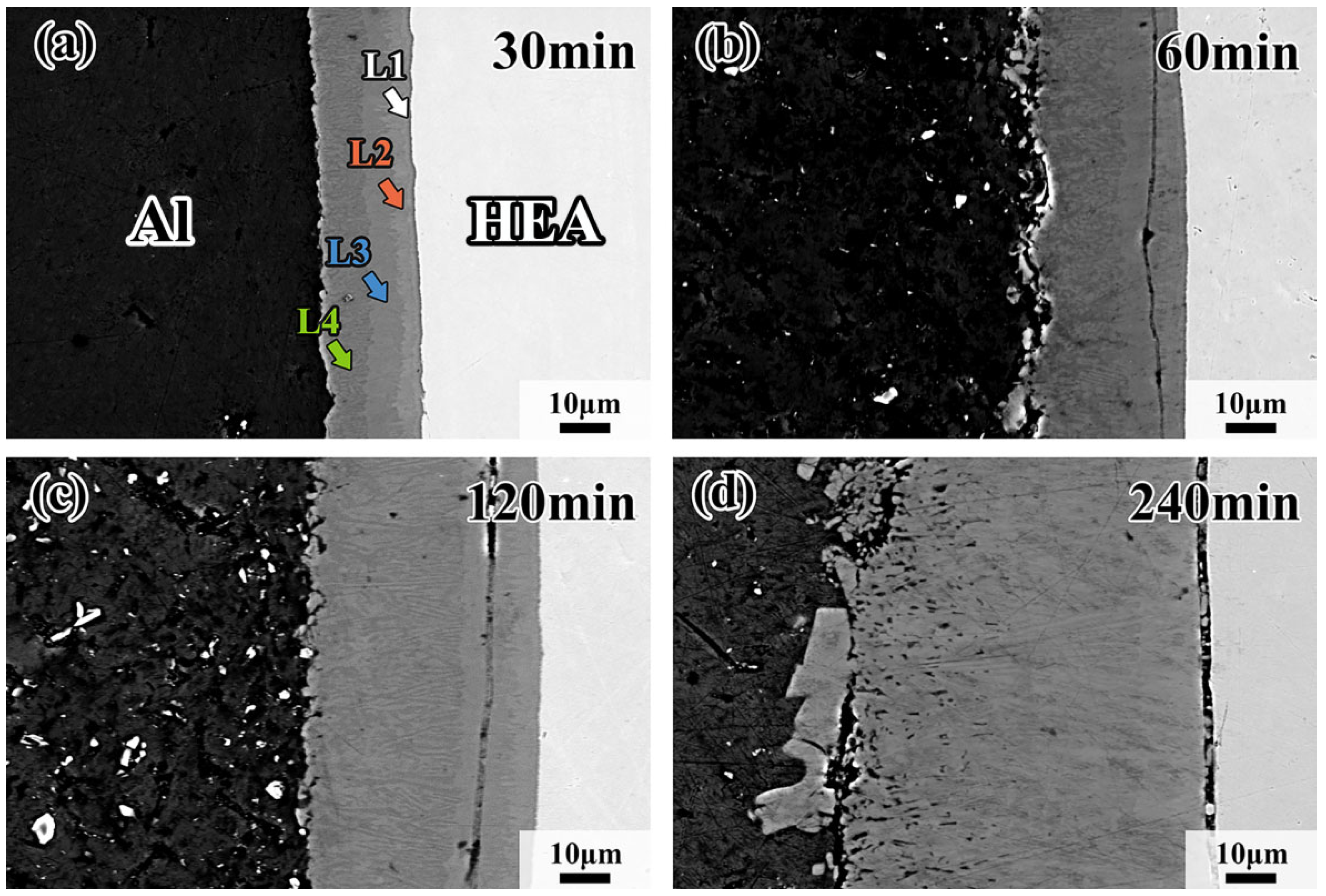 Materials 18 04158 g002