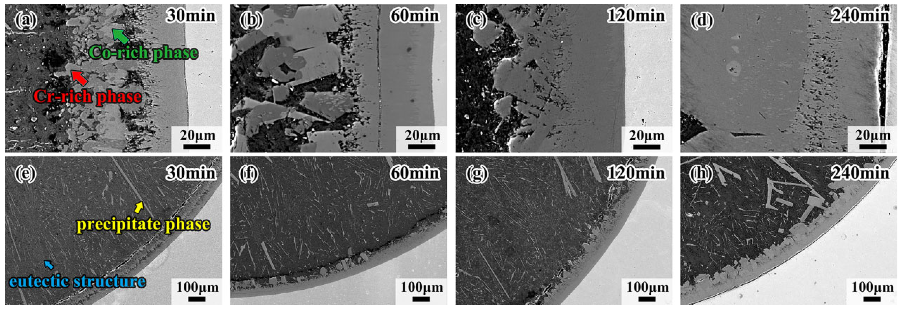 Materials 18 04158 g004