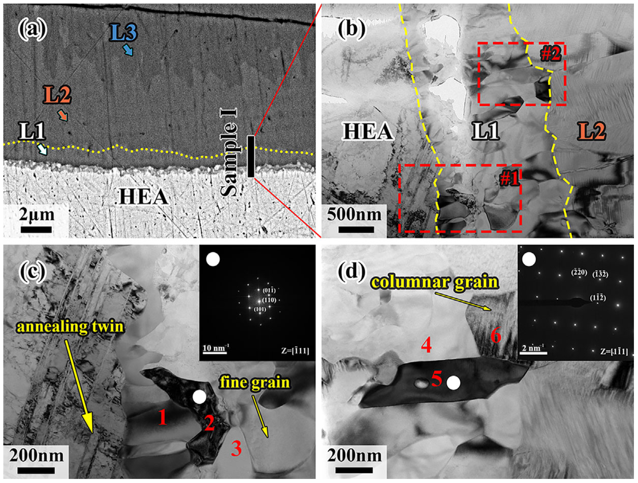Materials 18 04158 g007