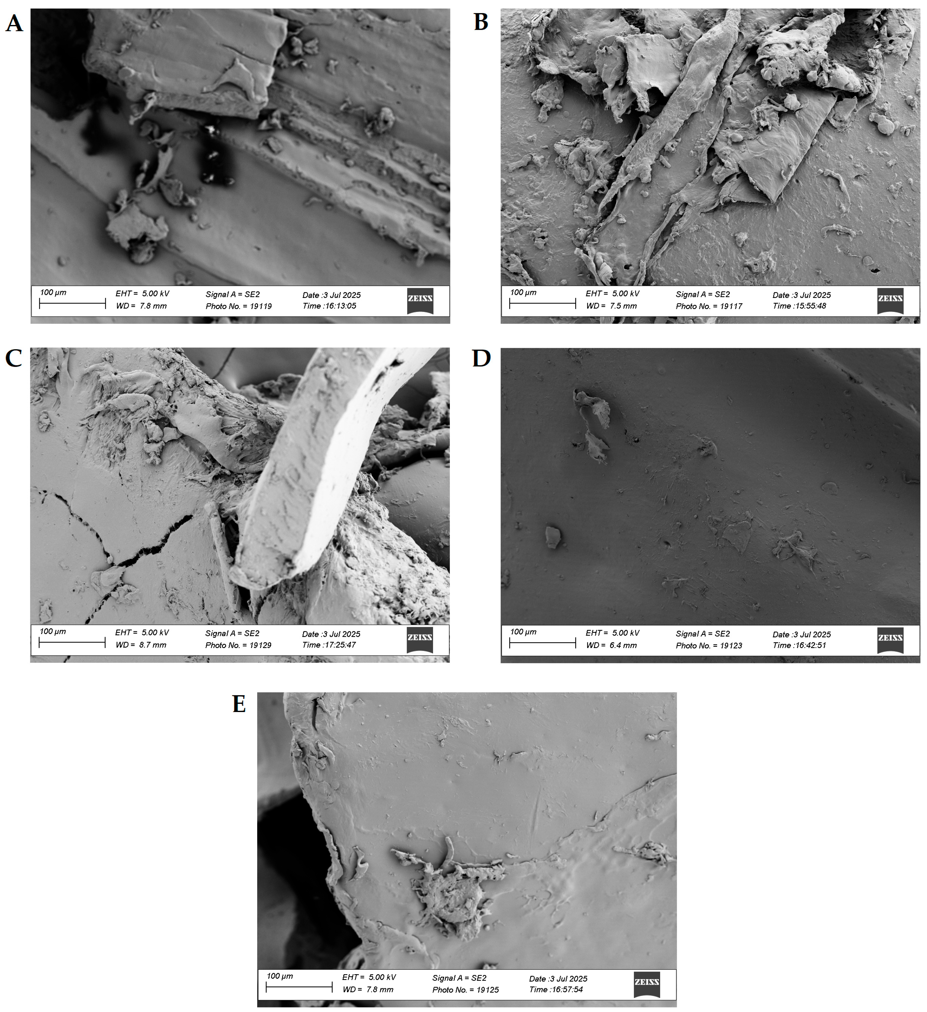 Materials 18 04181 g004 Materials 18 04181 g004