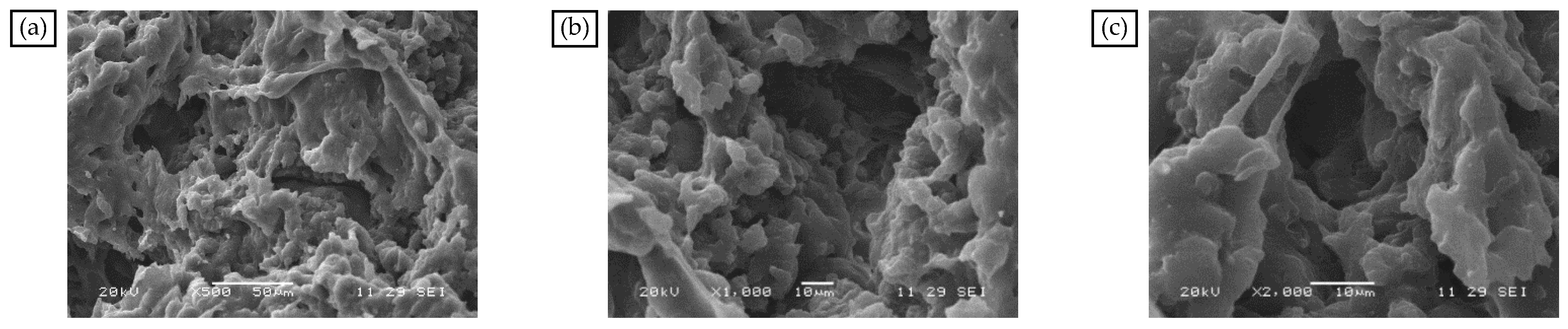 Materials 18 04182 g005