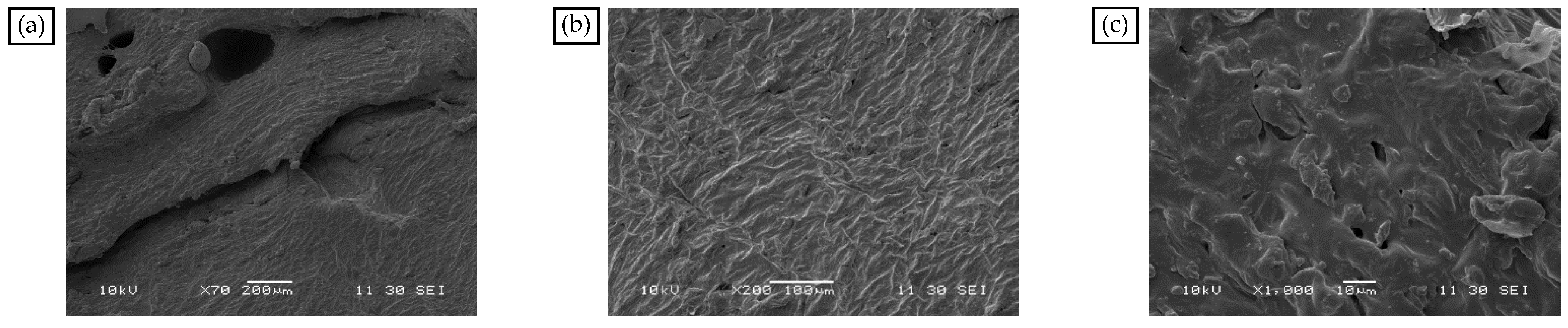 Materials 18 04182 g007