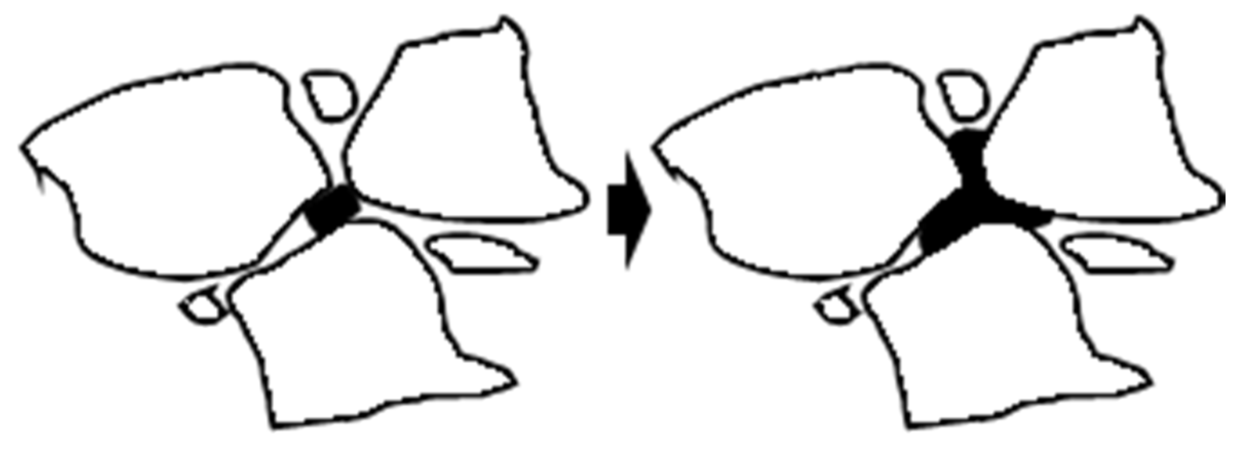 Materials 18 04182 g021