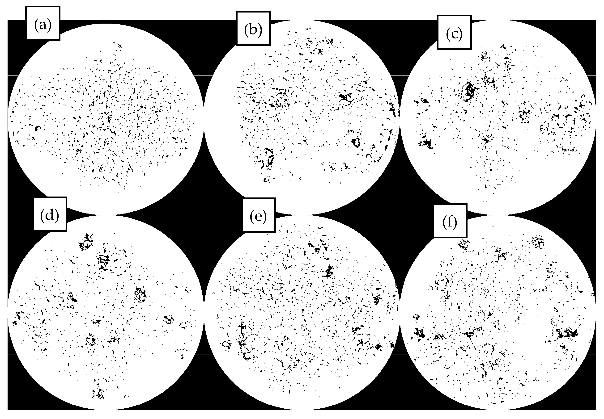 Materials 18 04182 g024