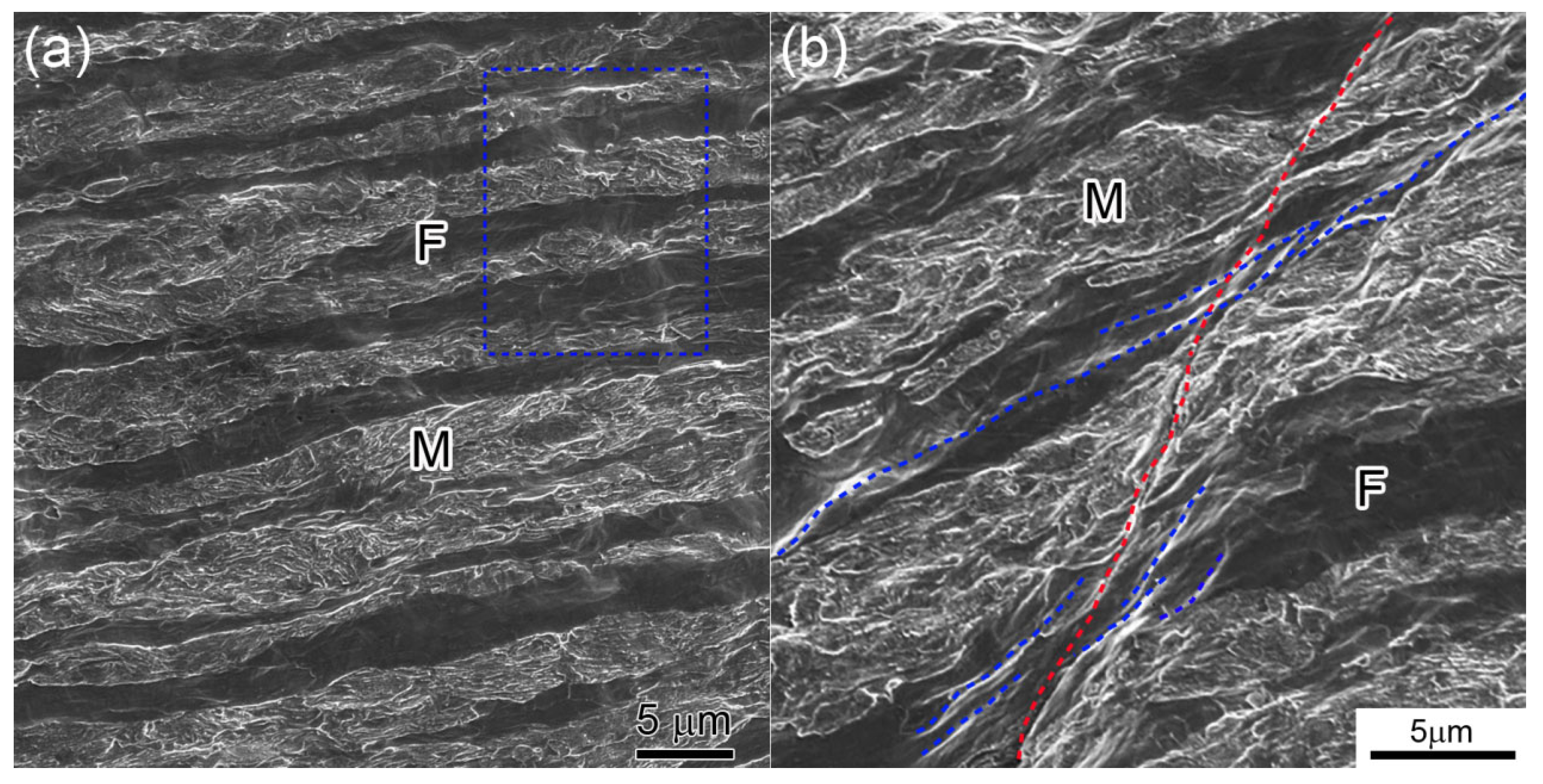 Materials 18 04198 g004 Materials 18 04198 g004