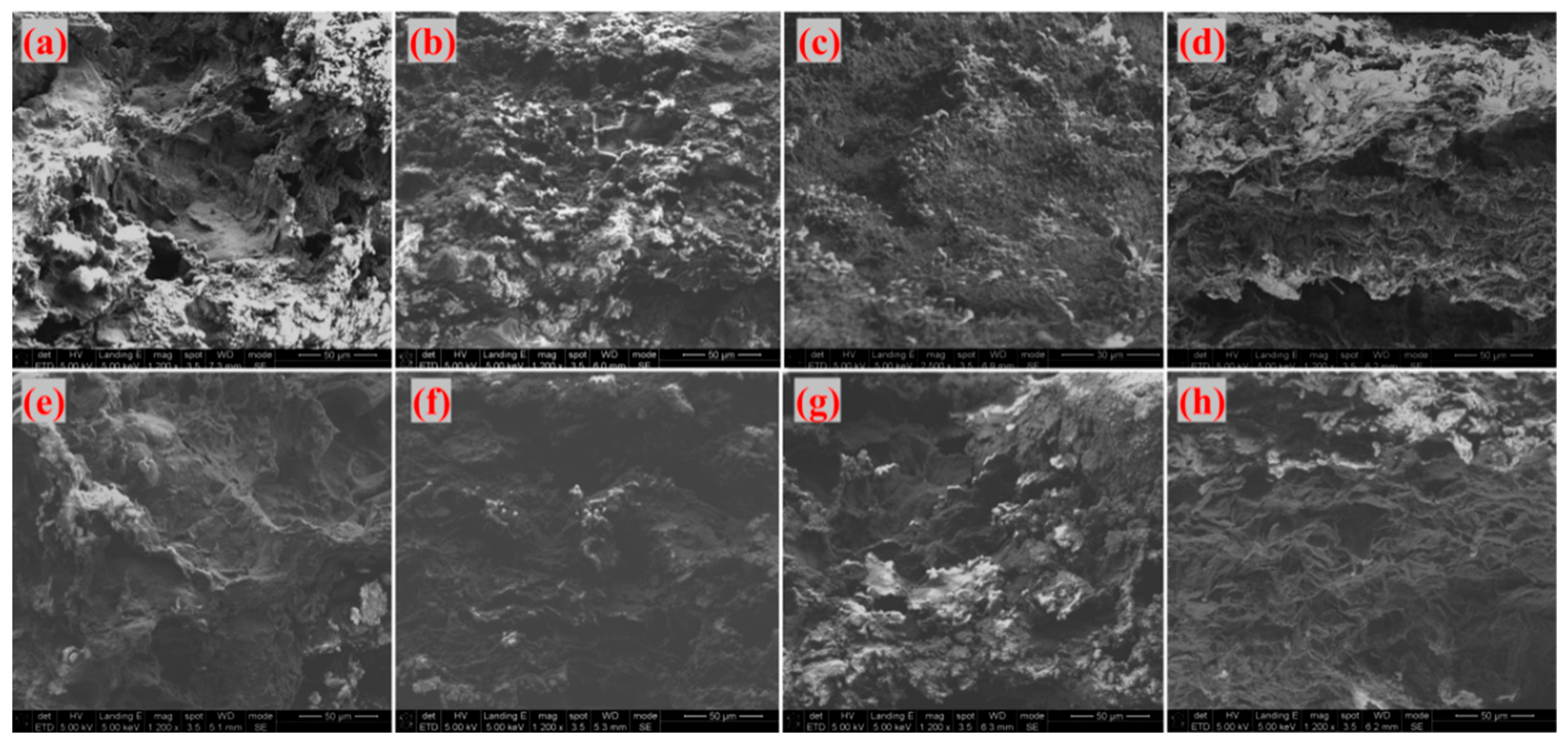 Materials 18 04213 g016