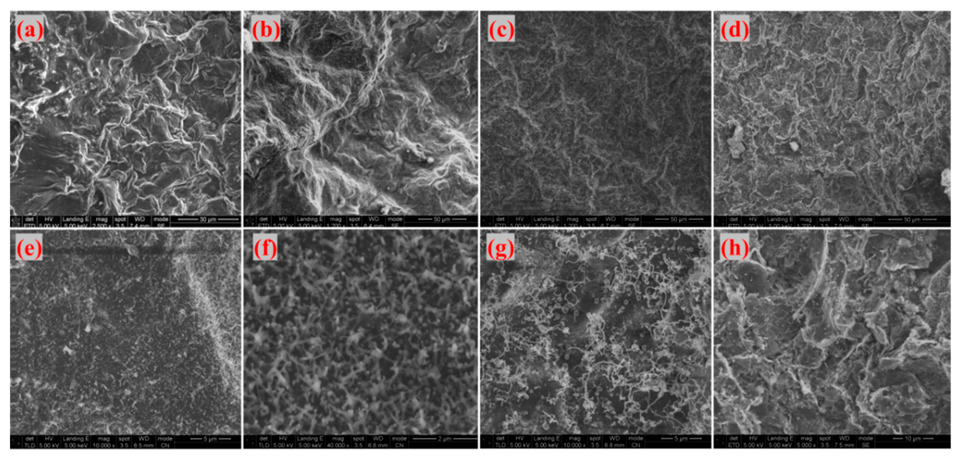 Materials 18 04213 g017