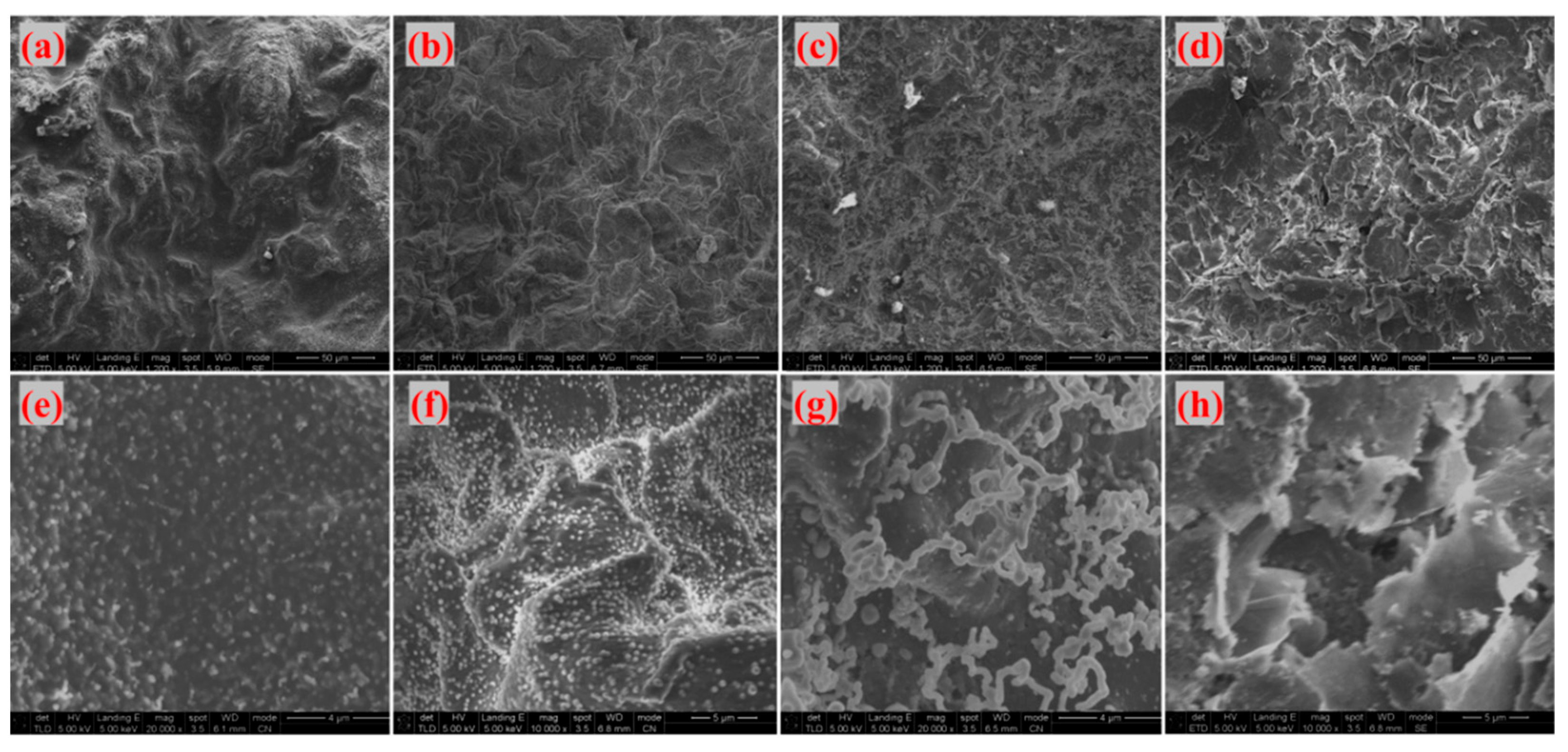 Materials 18 04213 g018