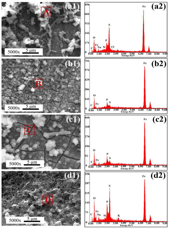 レイ Study on Microstructure and Mechanical Properties of