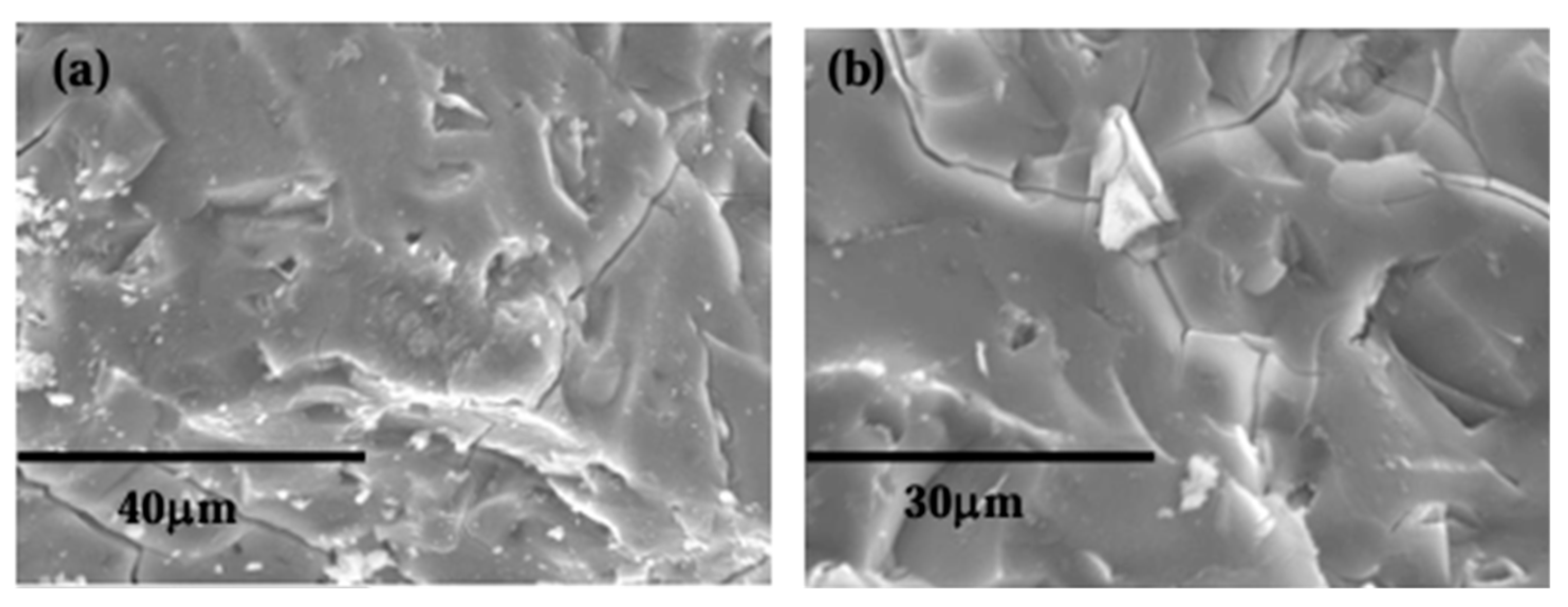 Materials 18 04260 g006