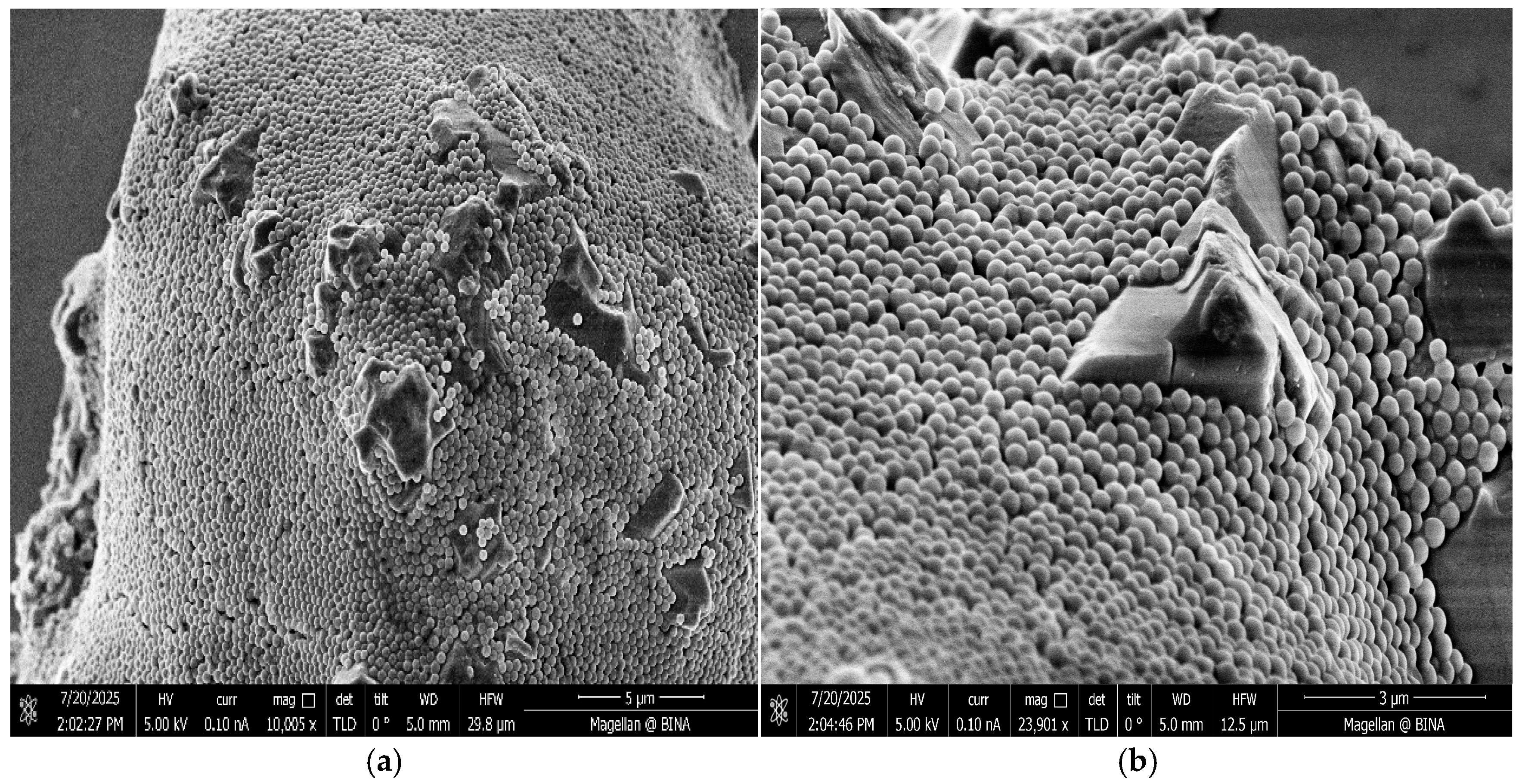 Materials 18 04277 g002