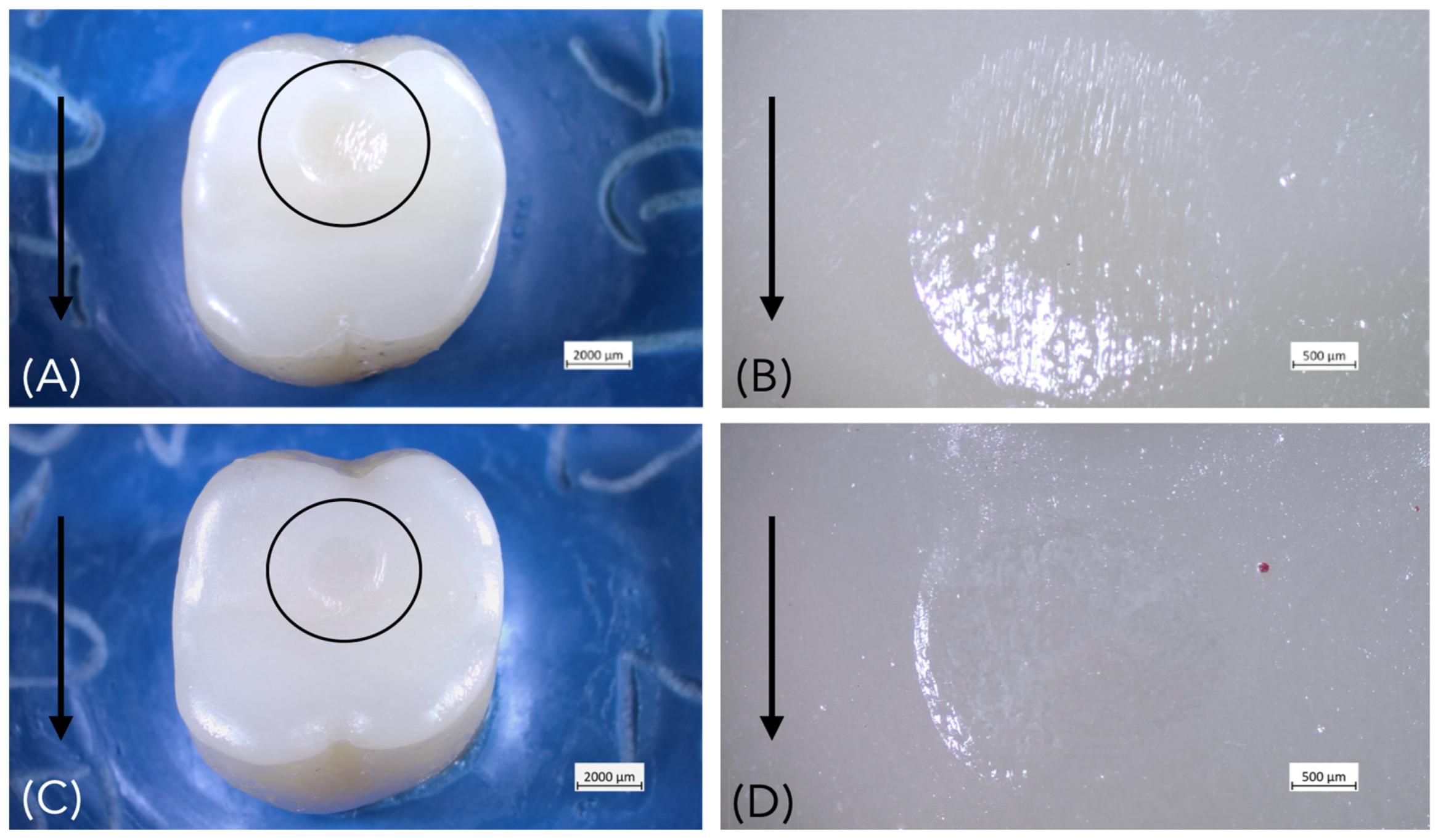 Materials 18 04287 g003 Materials 18 04287 g003