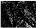 Materials 18 04292 i009 Materials 18 04292 i009