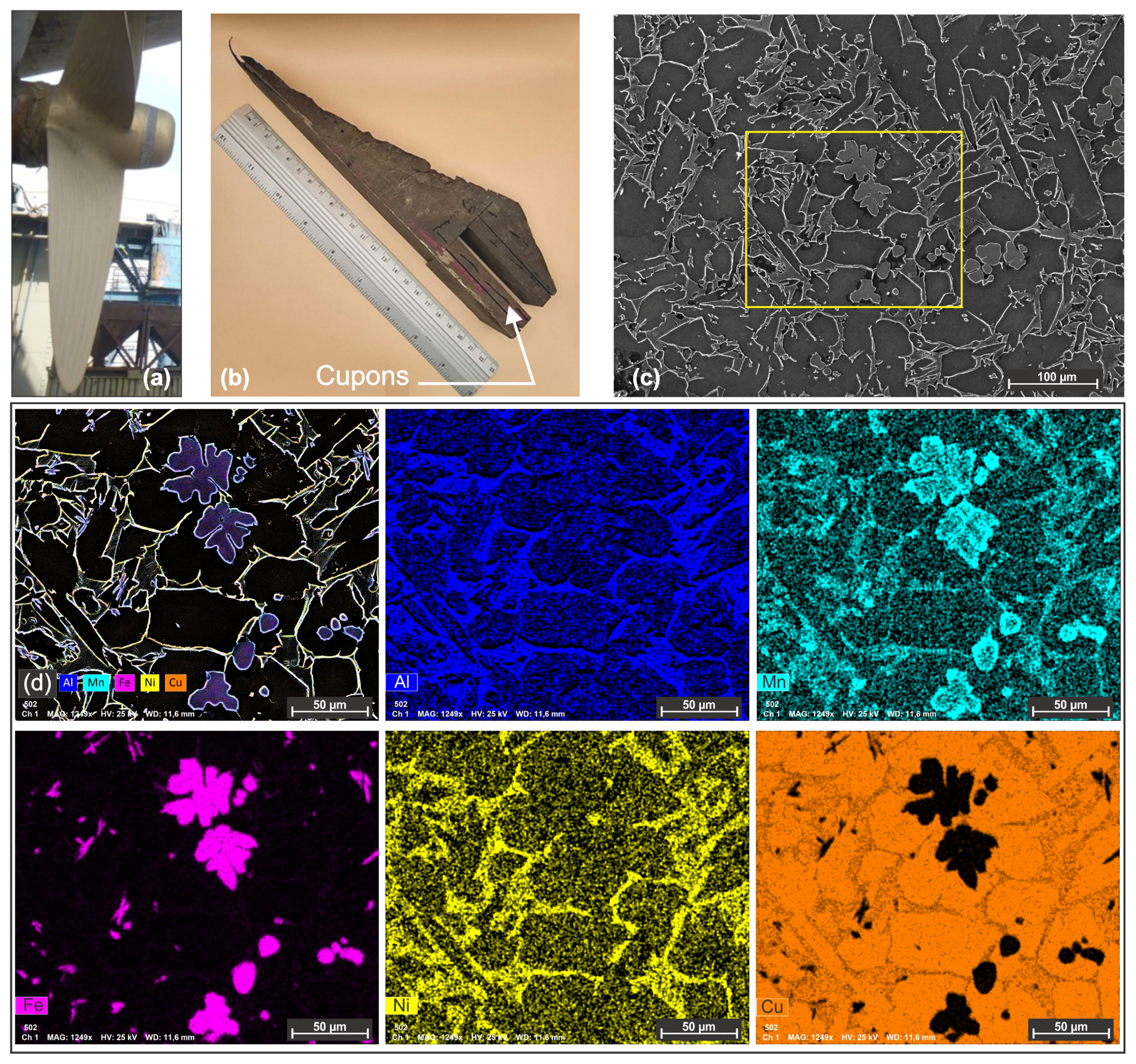 Materials 18 04301 g001