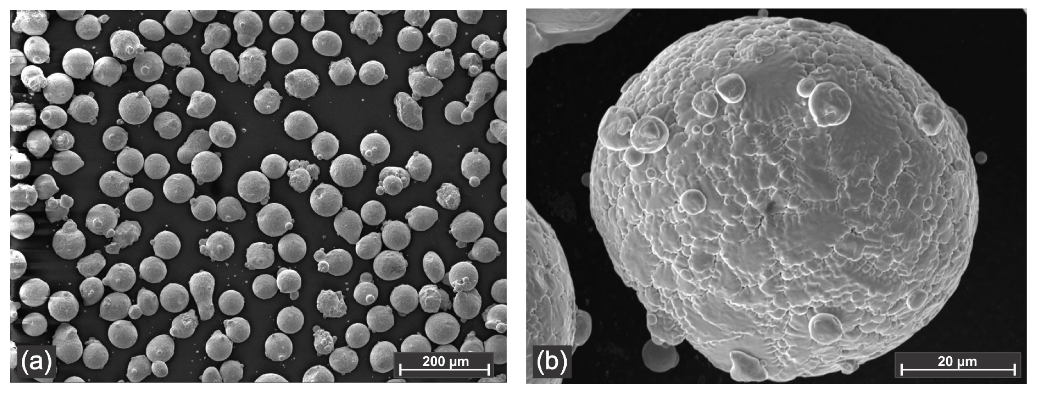 Materials 18 04301 g002