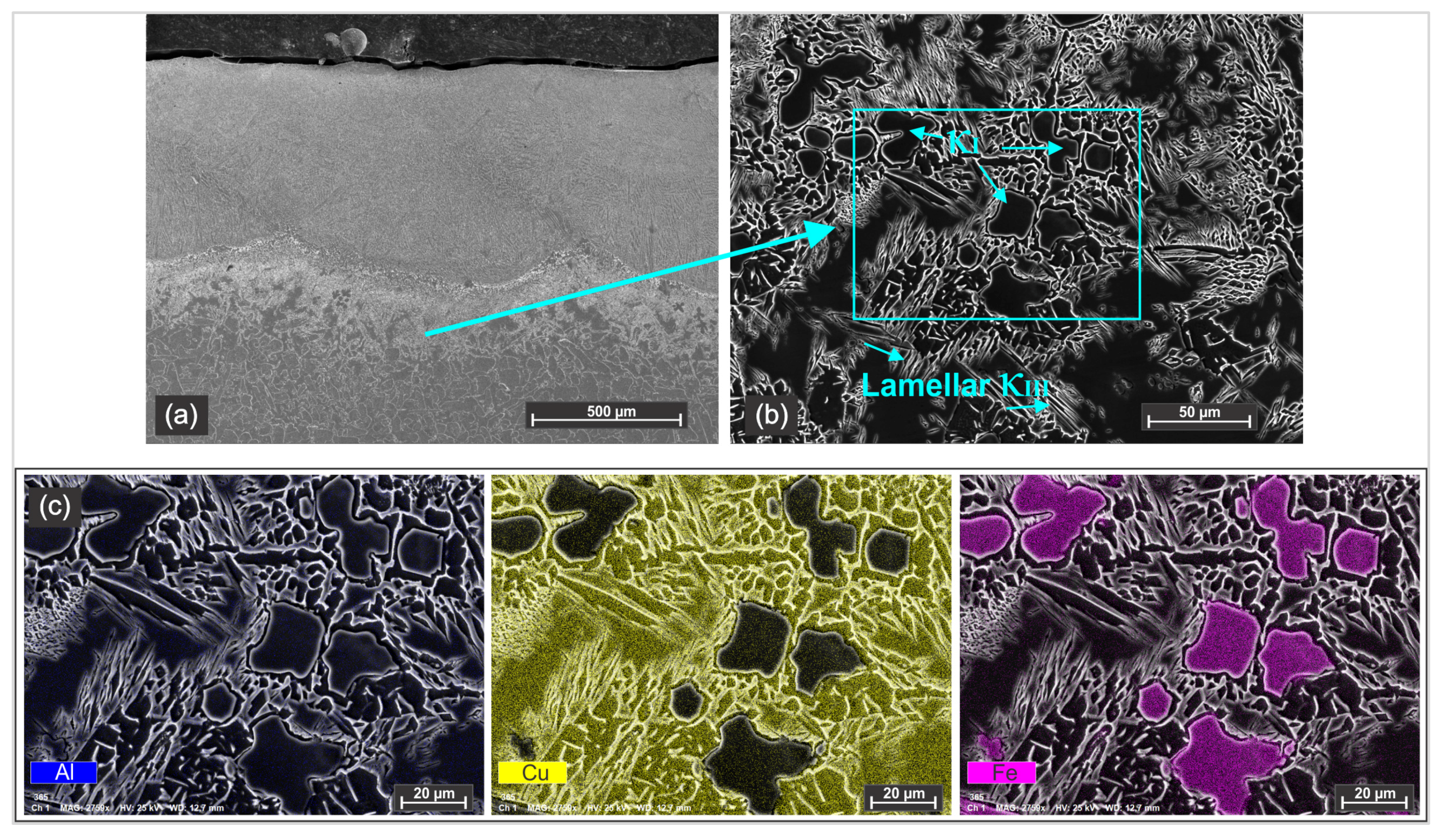 Materials 18 04301 g007