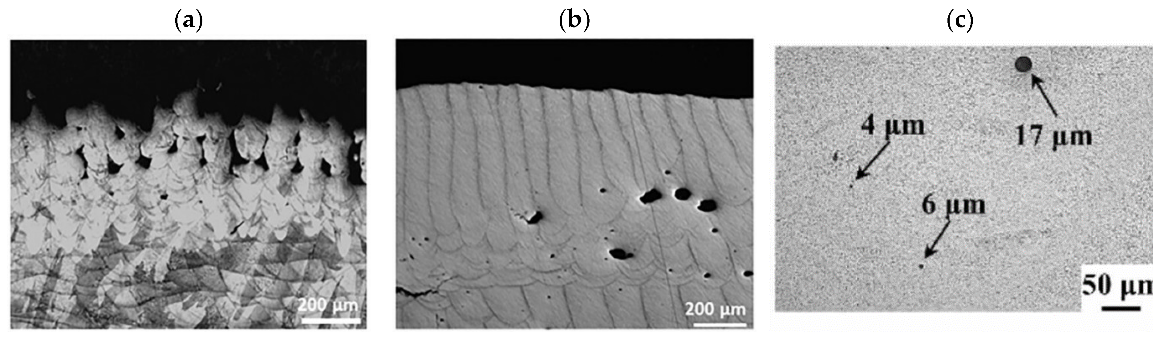 Materials 18 04304 g005 Materials 18 04304 g005