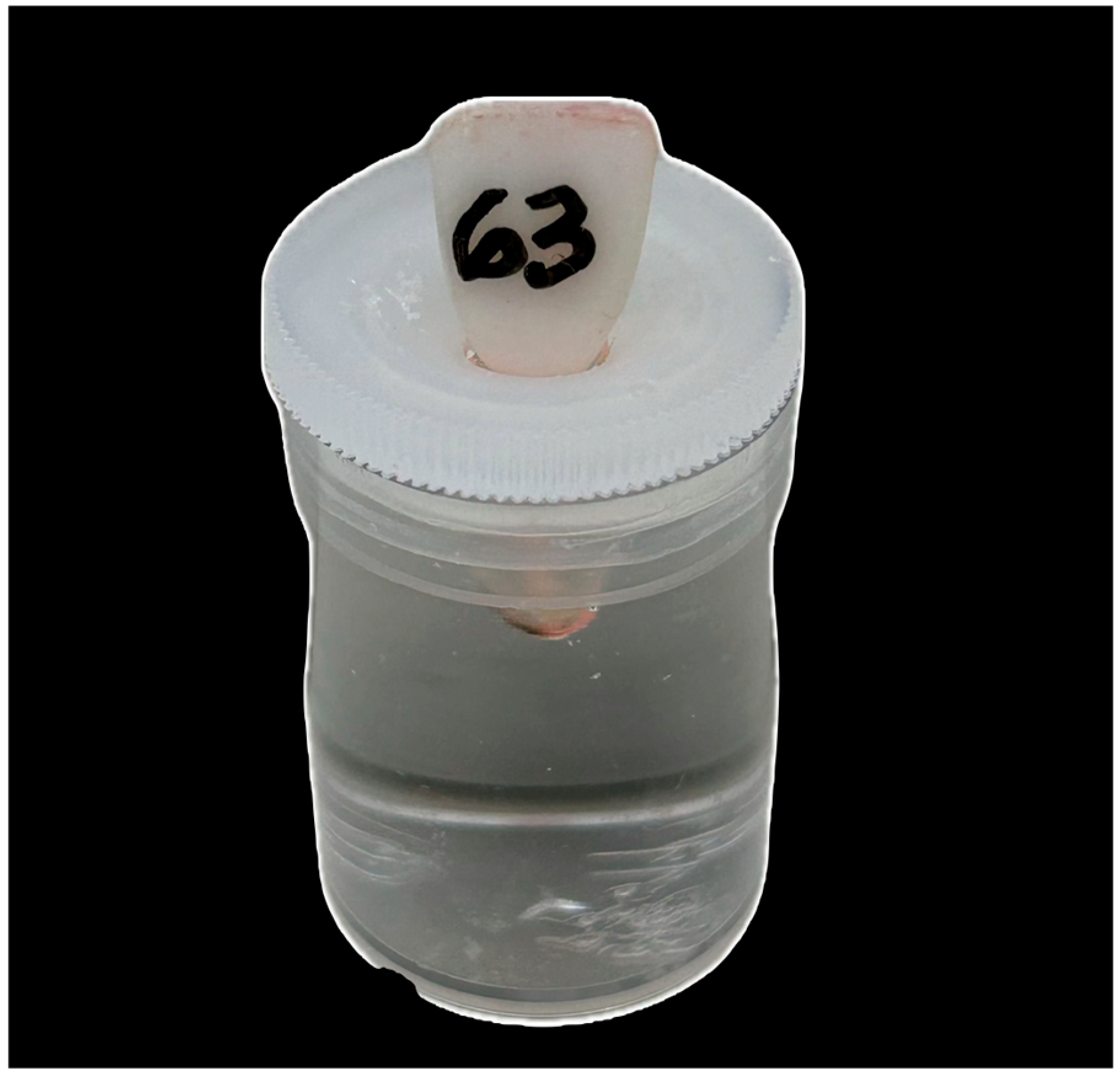 Materials 18 04340 g001