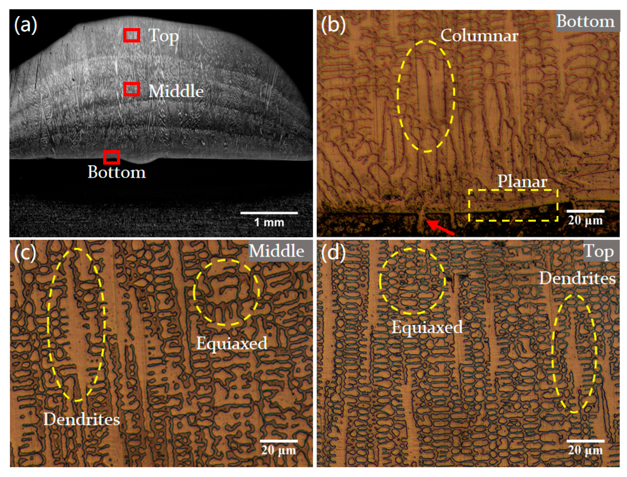 Materials 18 04350 g007 Materials 18 04350 g007