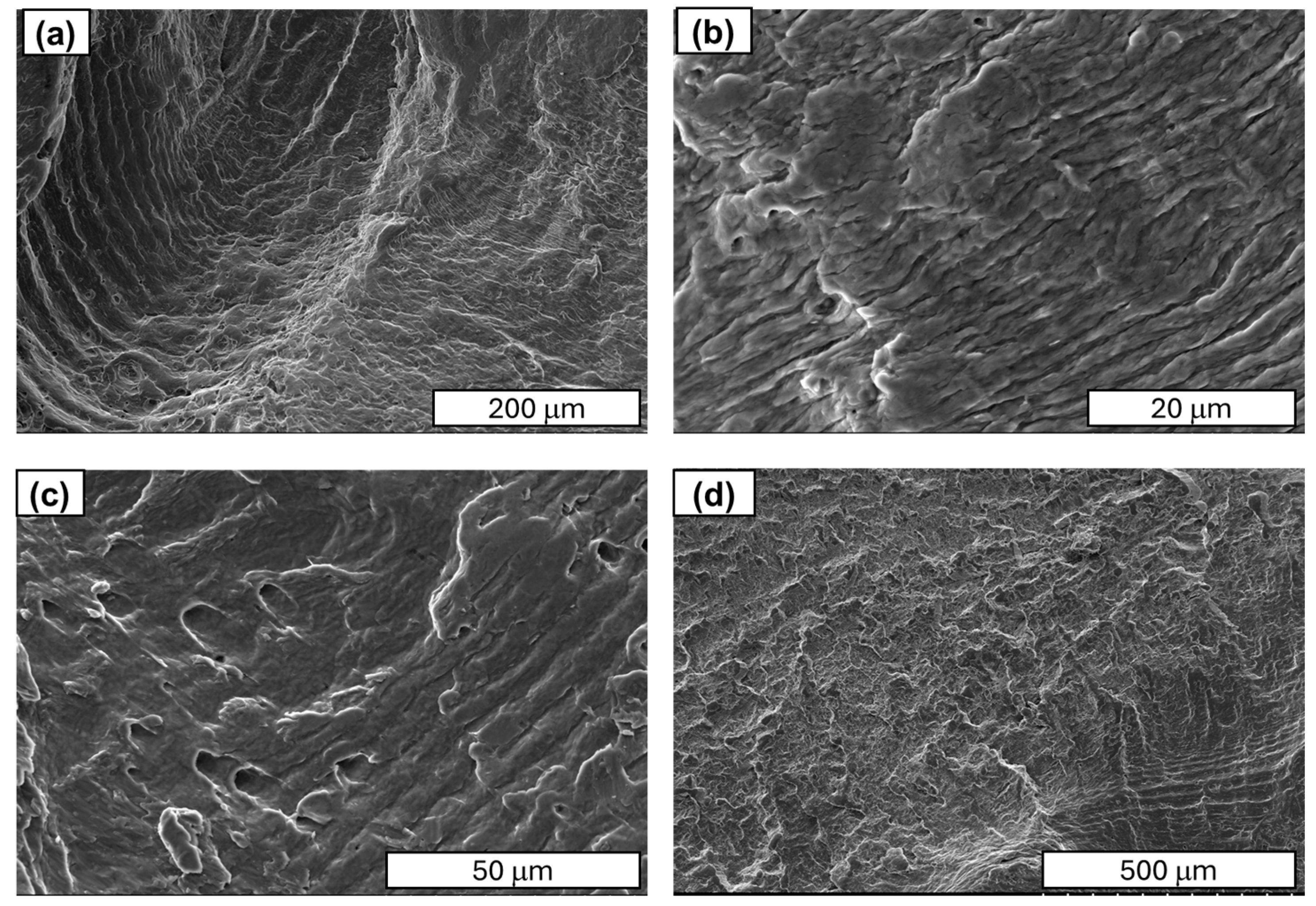 Materials 18 04426 g010