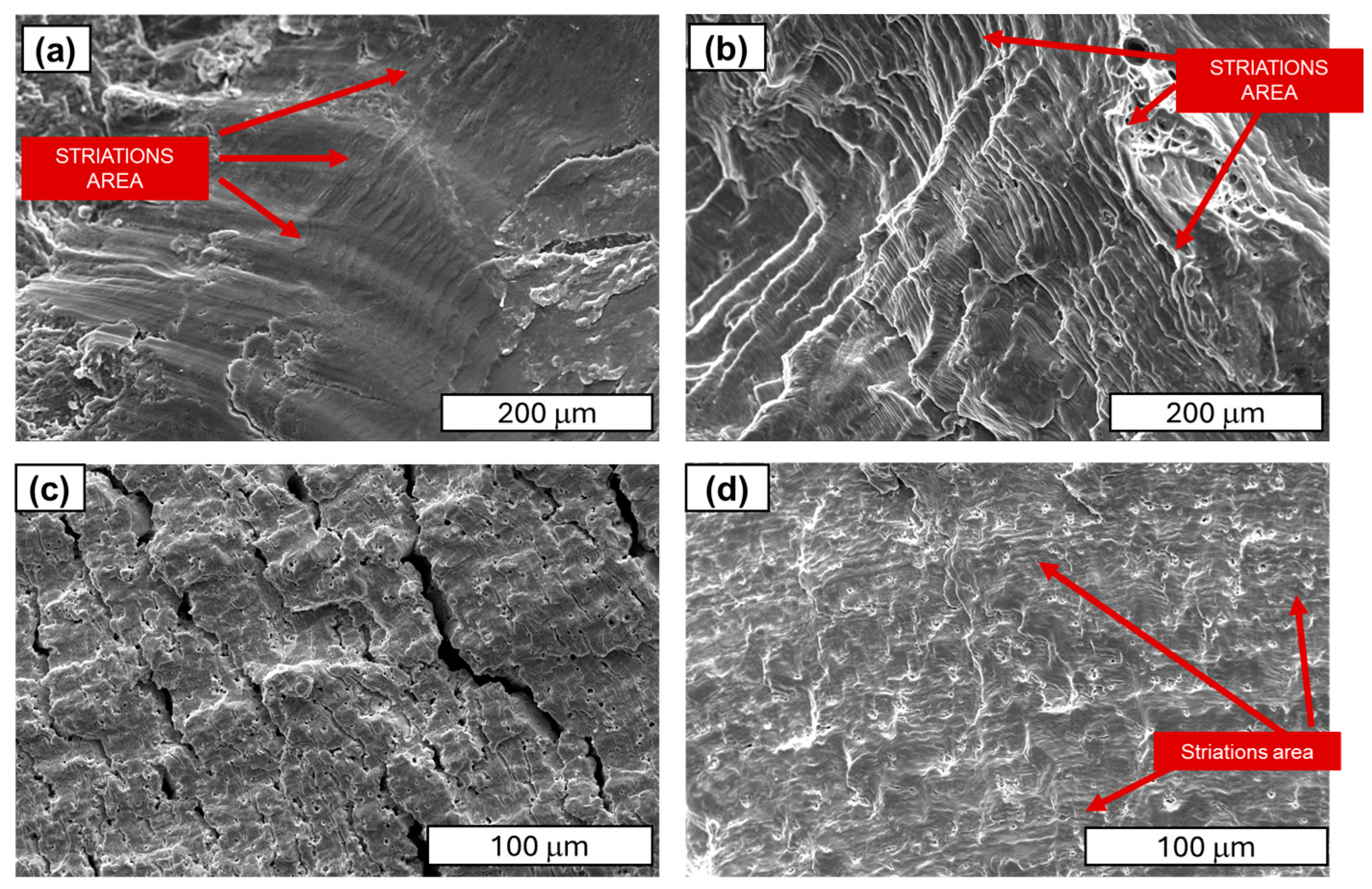Materials 18 04426 g012