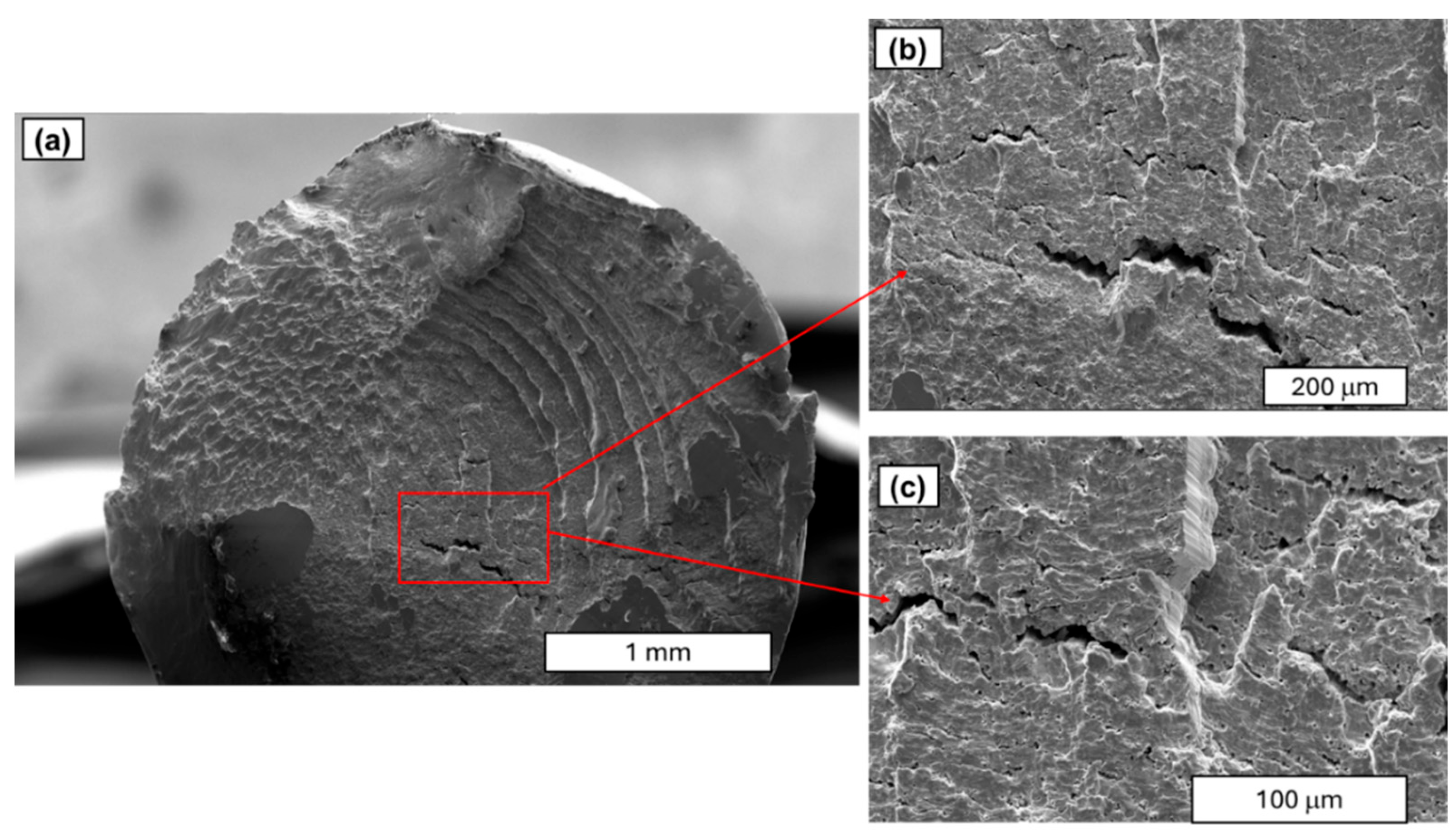 Materials 18 04426 g013