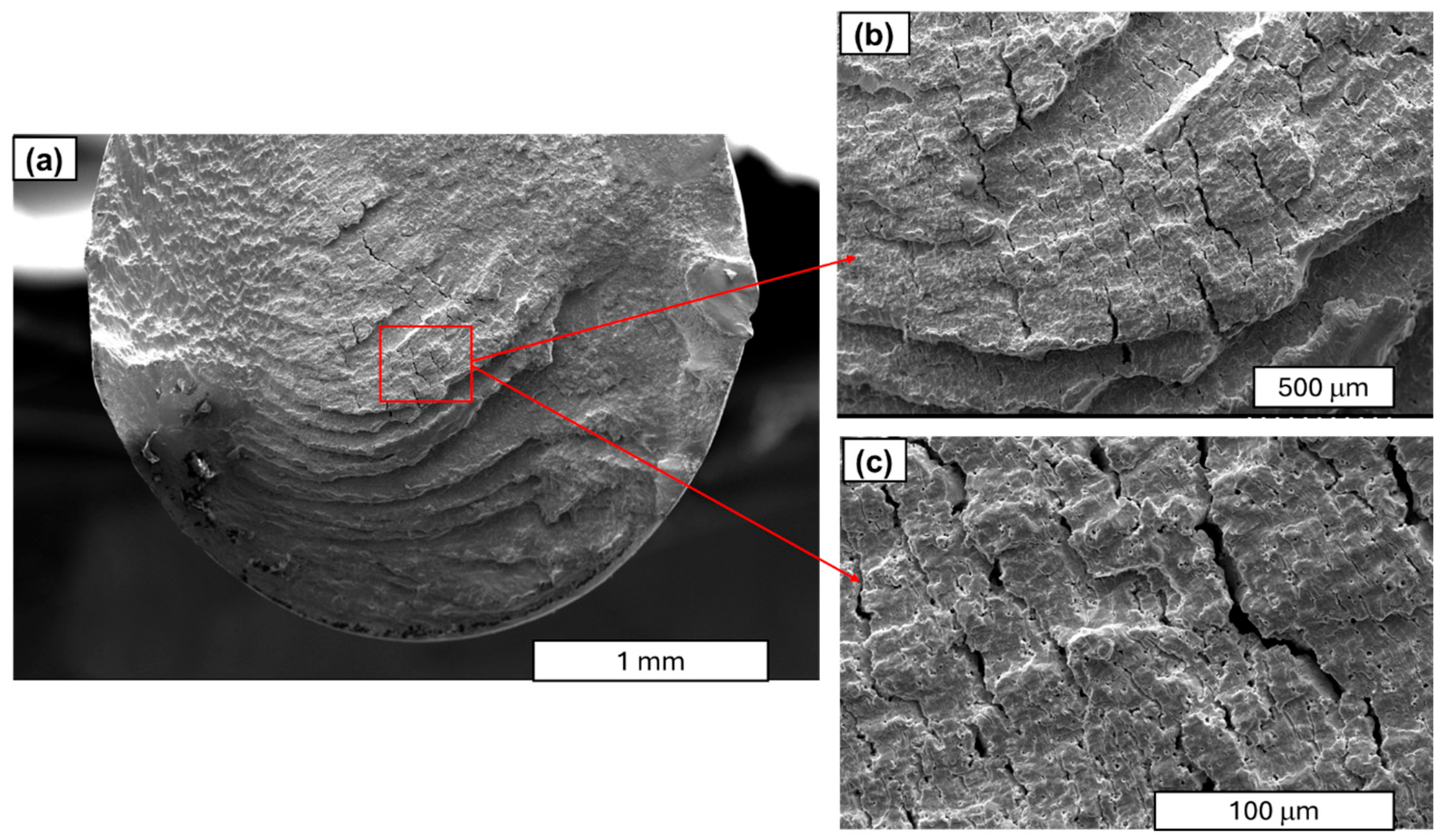 Materials 18 04426 g014