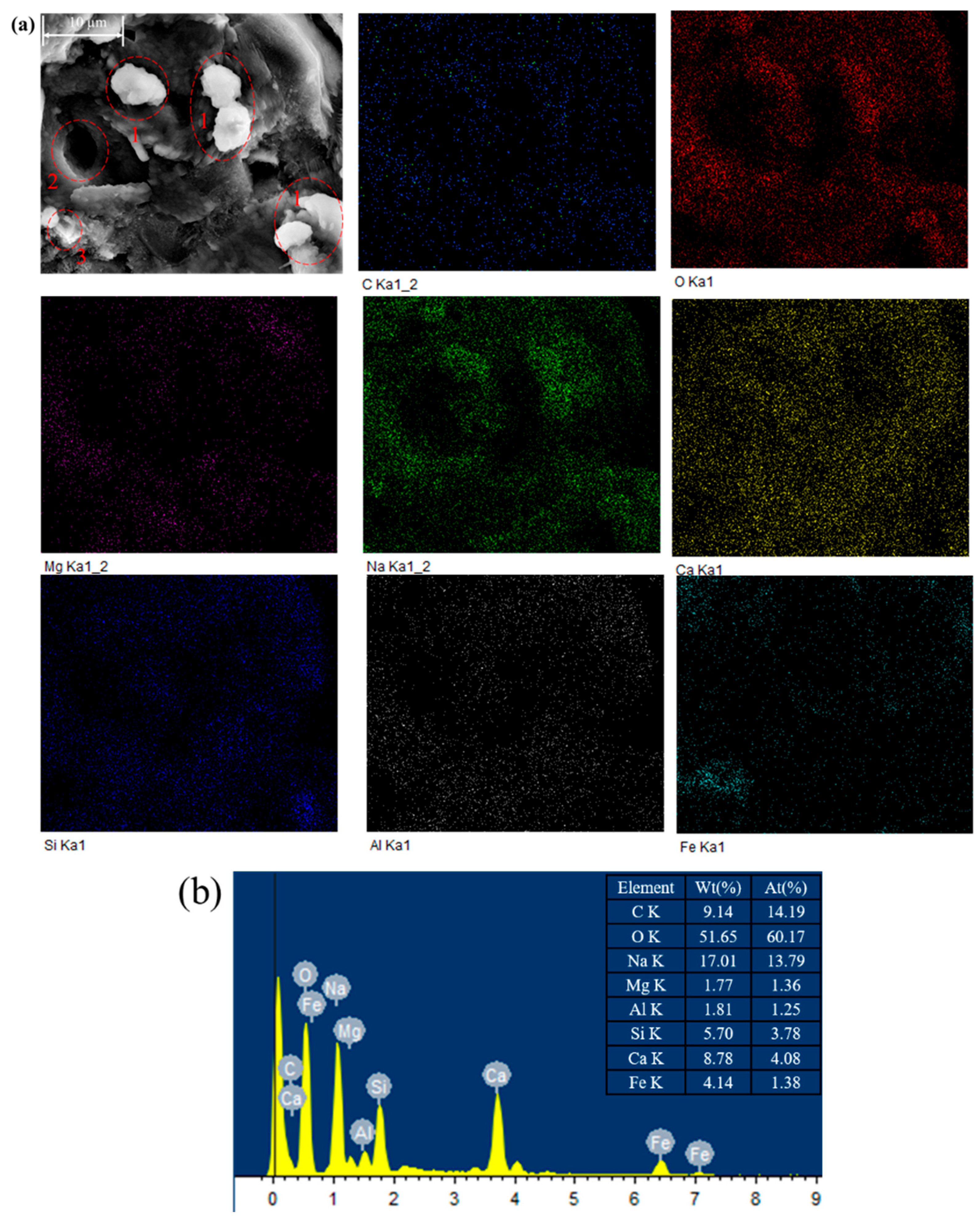 Materials 18 04434 g013 Materials 18 04434 g013